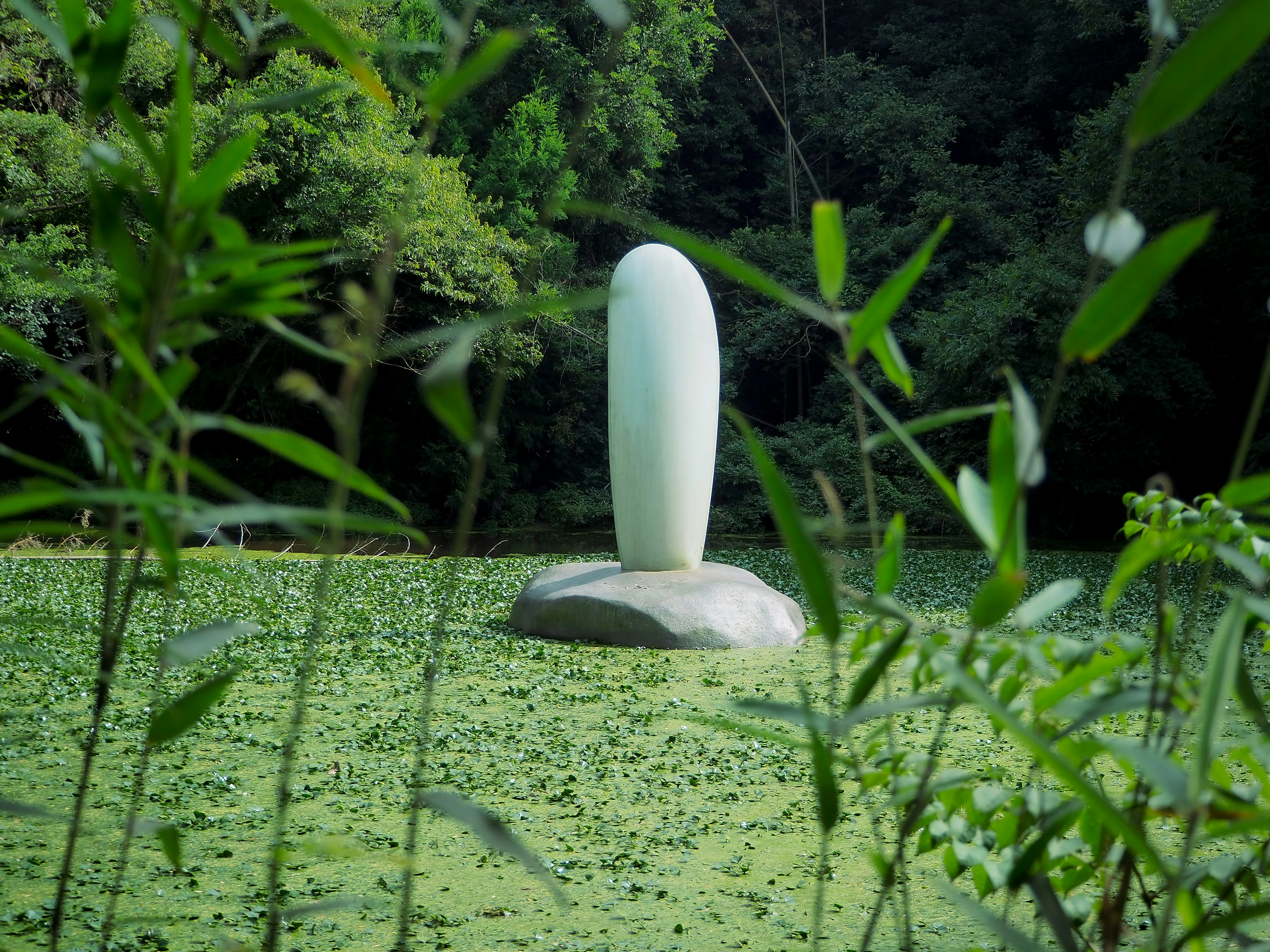 A most unusual garden