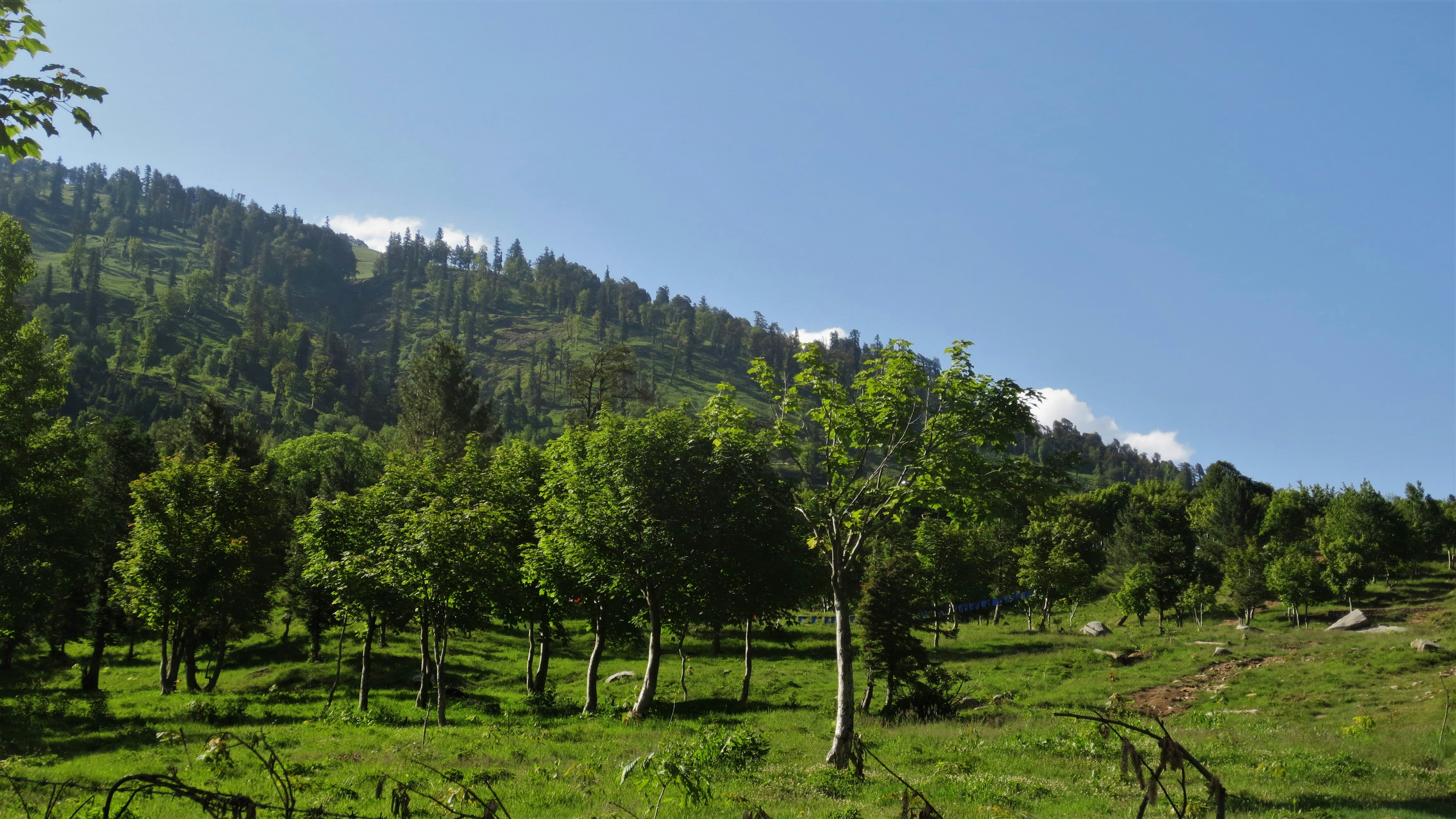 Photo by manu_manav_j