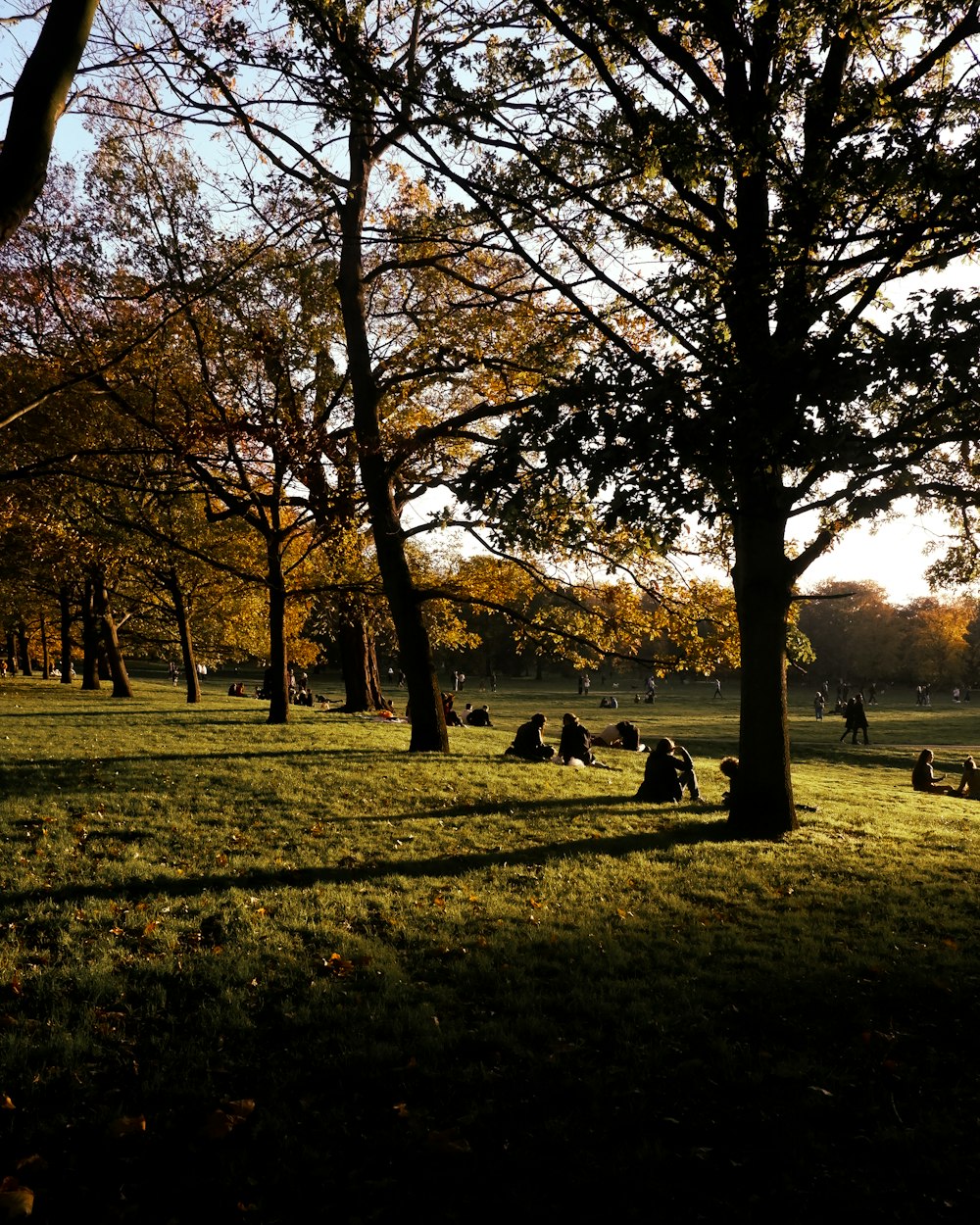 a group of people sitting in a park