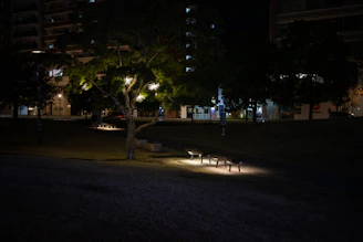 Solar garden light illuminating a cozy park bench at dusk with lush greenery surrounding.