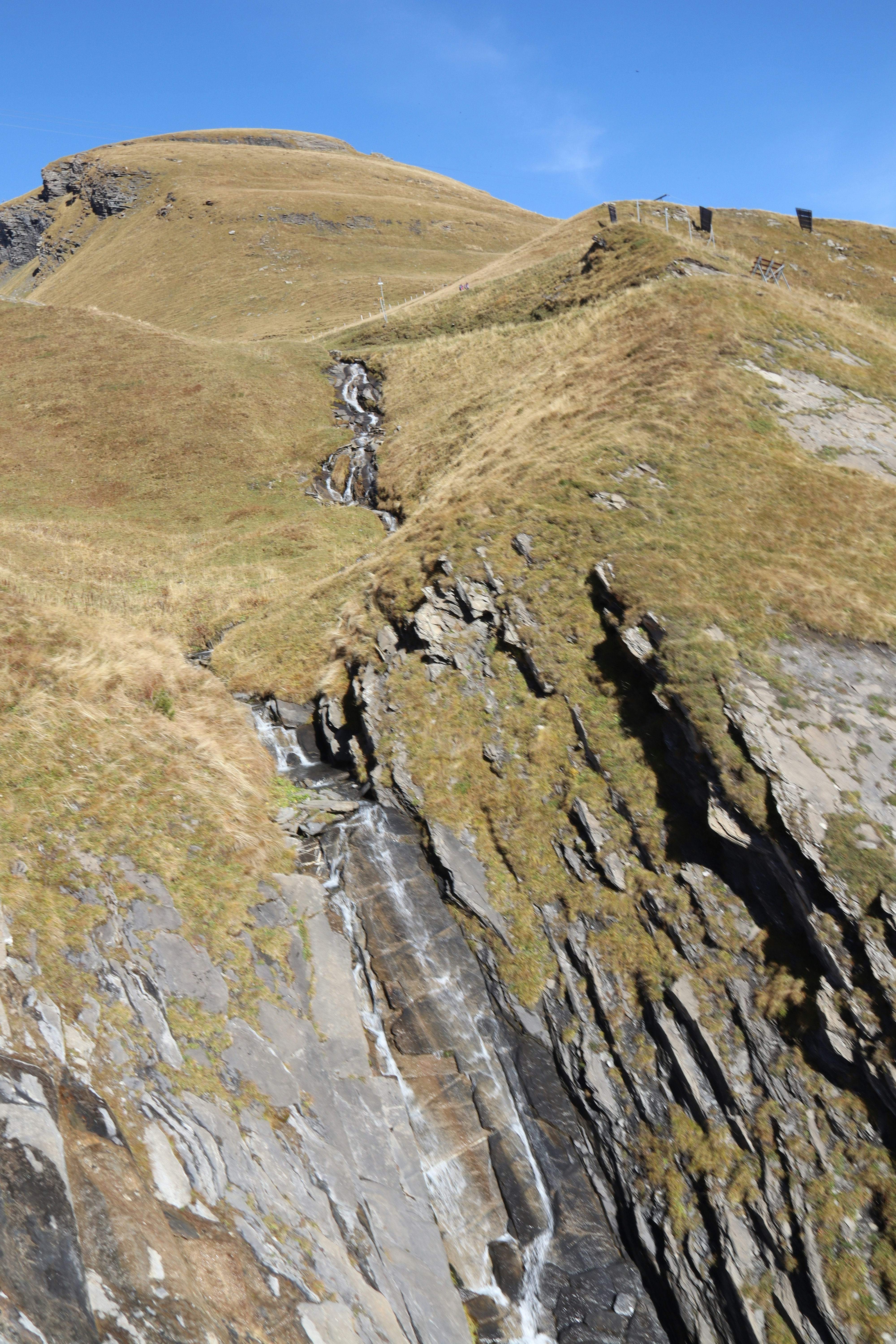 Photo by shalevcohen