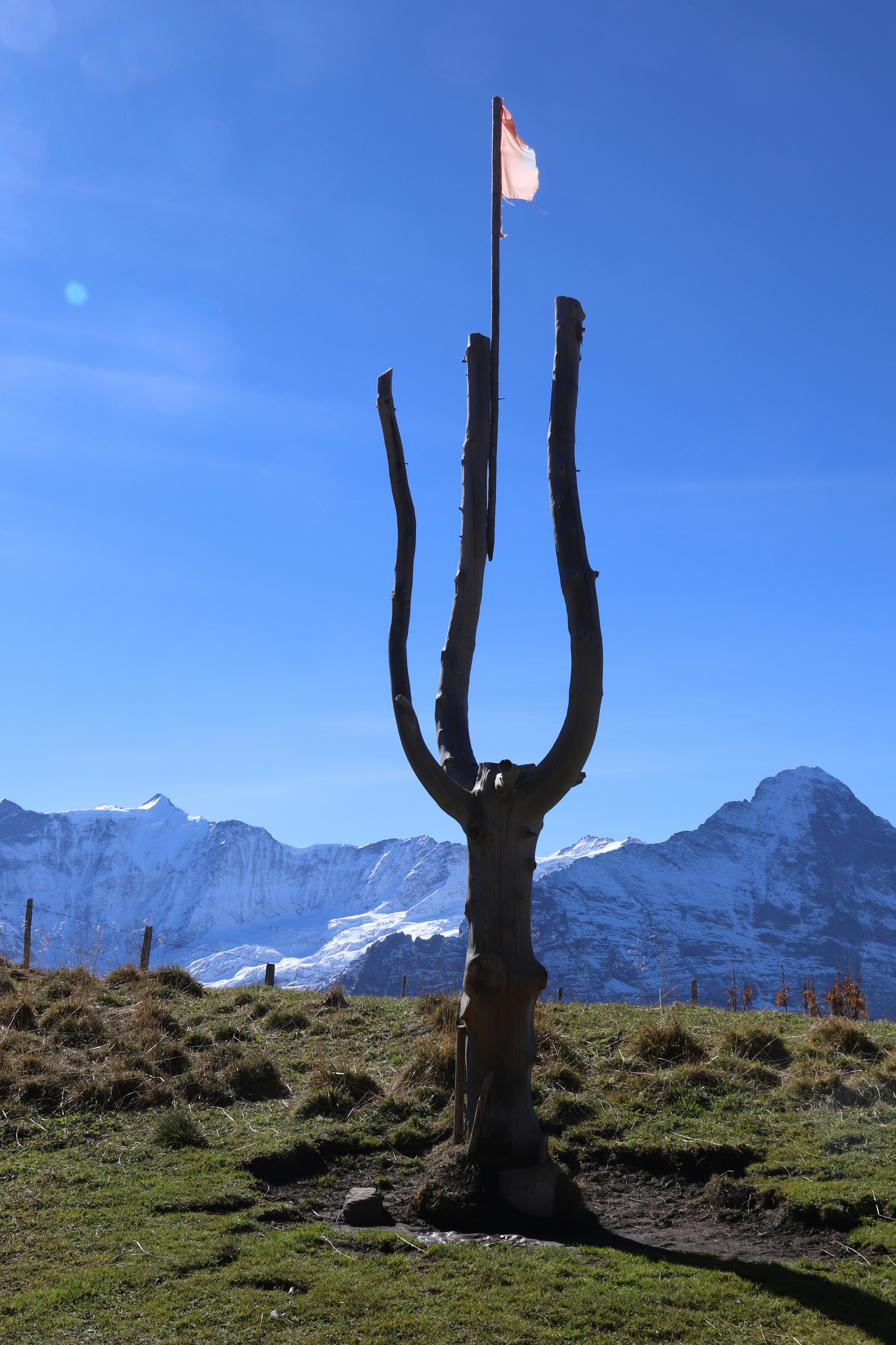 Appointed First Aider