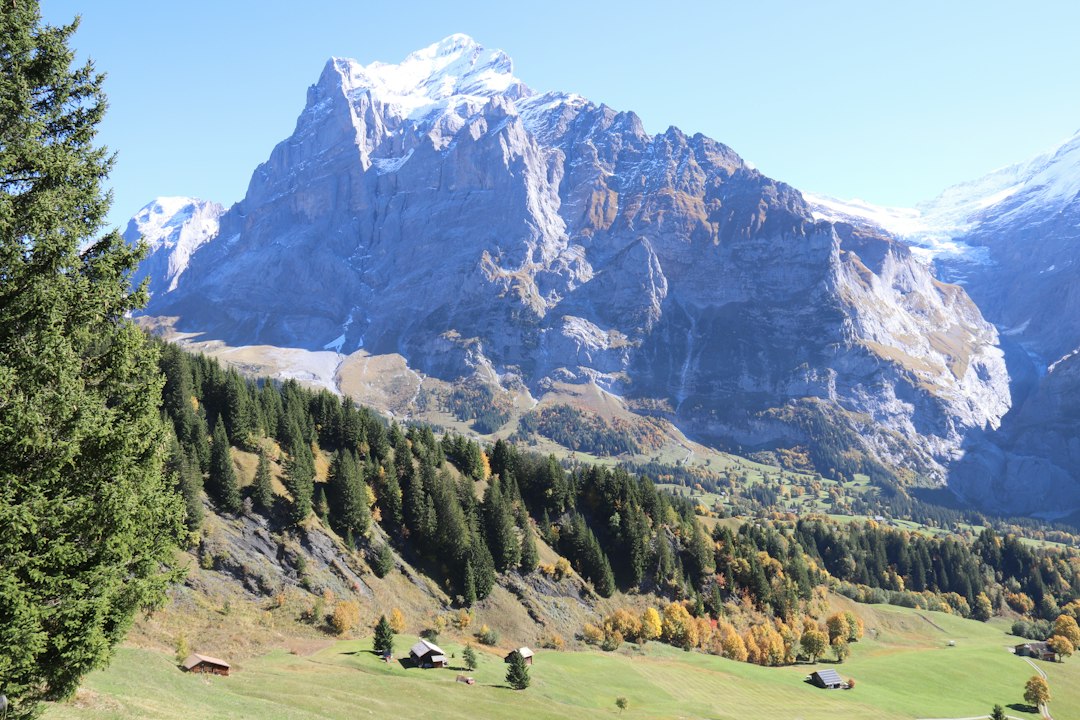 Grindelwald - Wengen (Kleine Scheidegg - Männlichen)