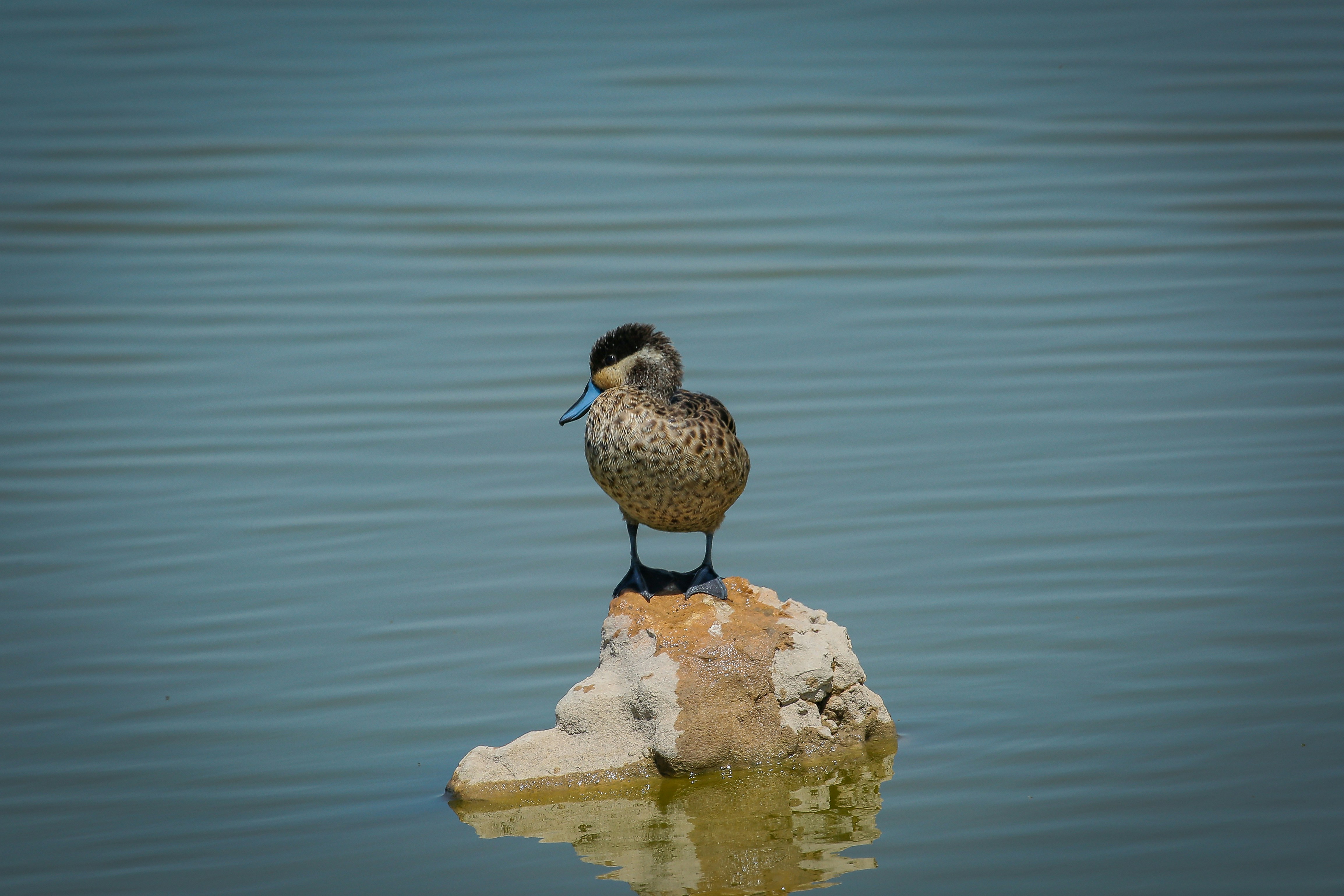 Photo by twilightkenya