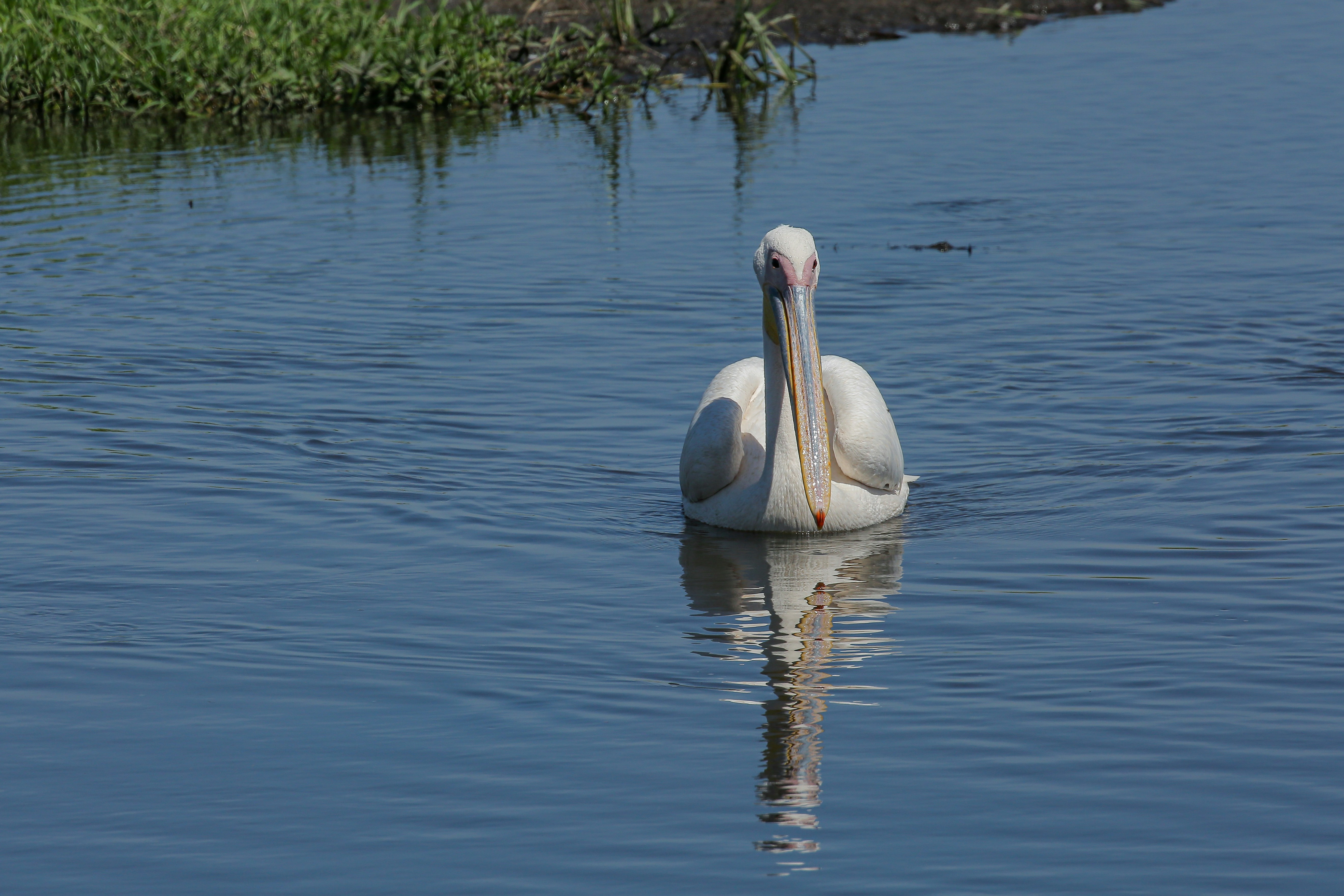 Photo by twilightkenya