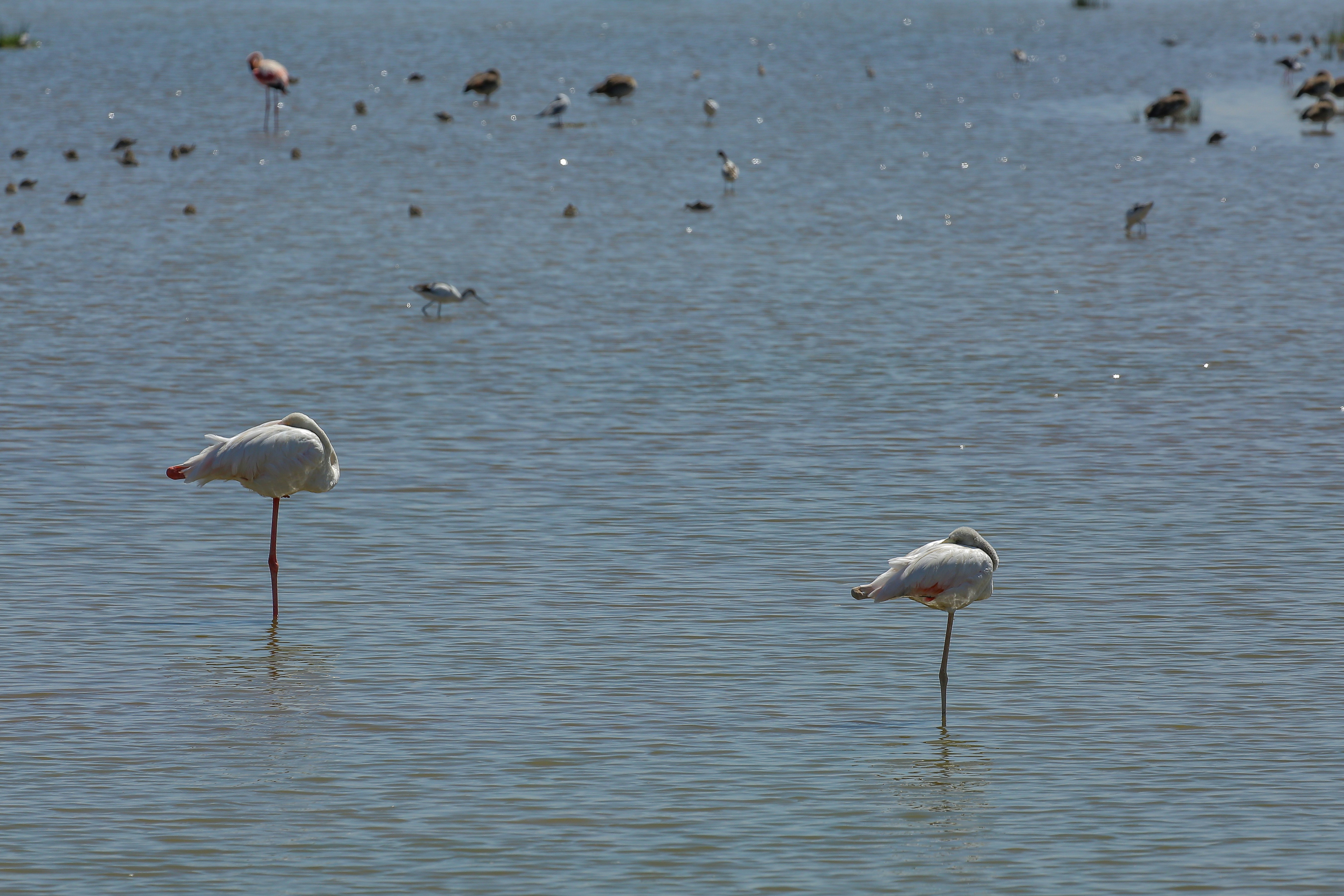 Photo by twilightkenya