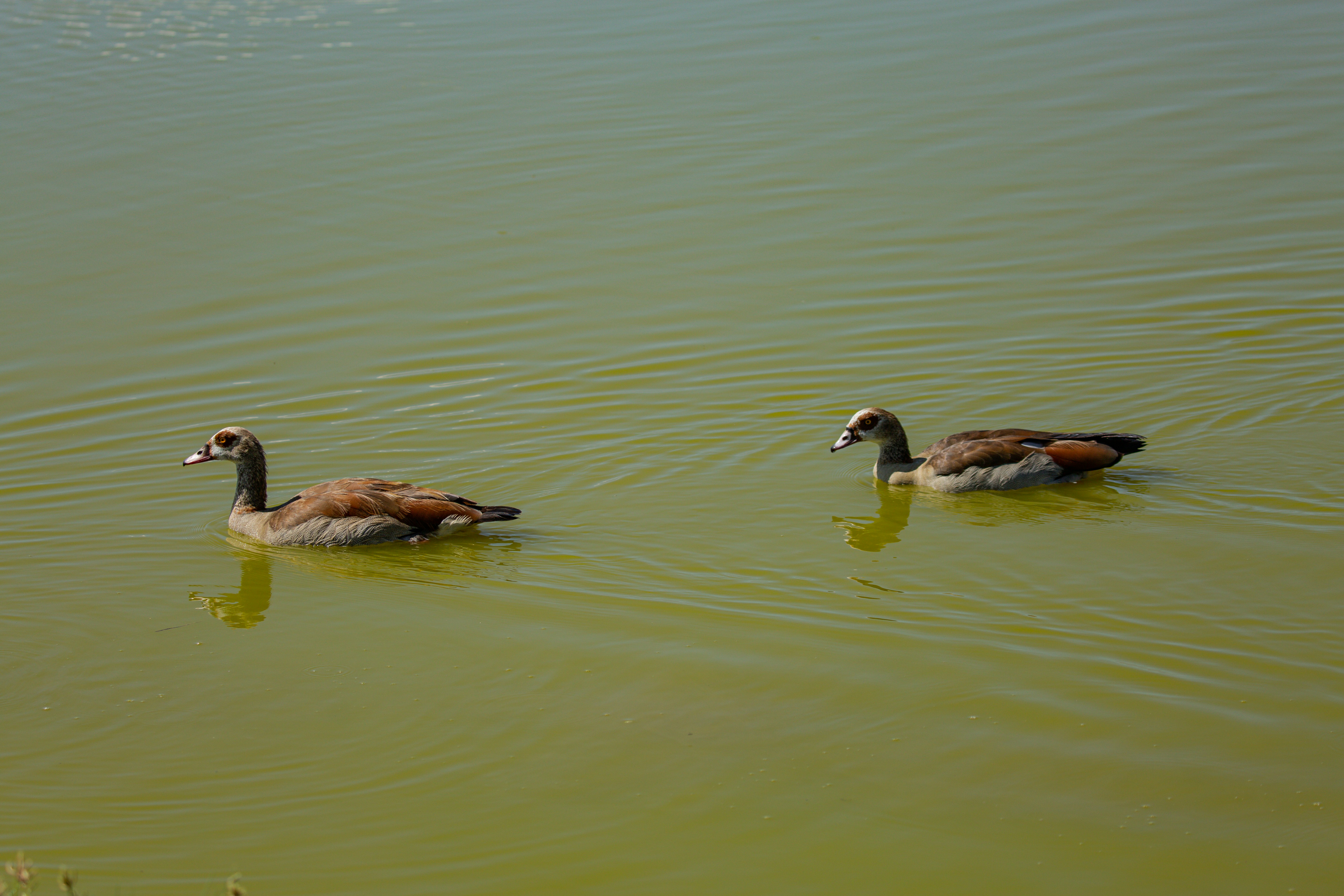 Photo by twilightkenya