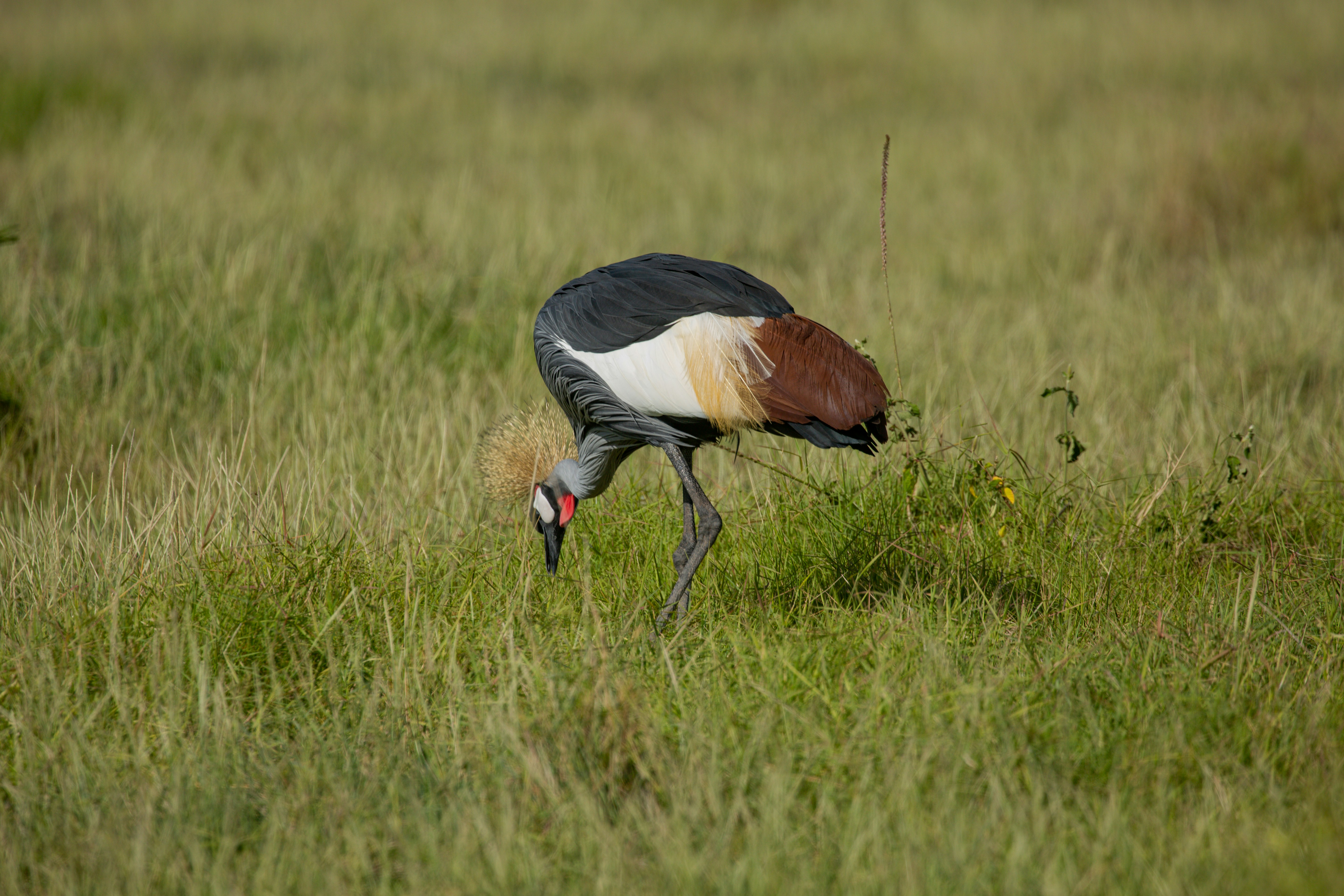 Photo by twilightkenya