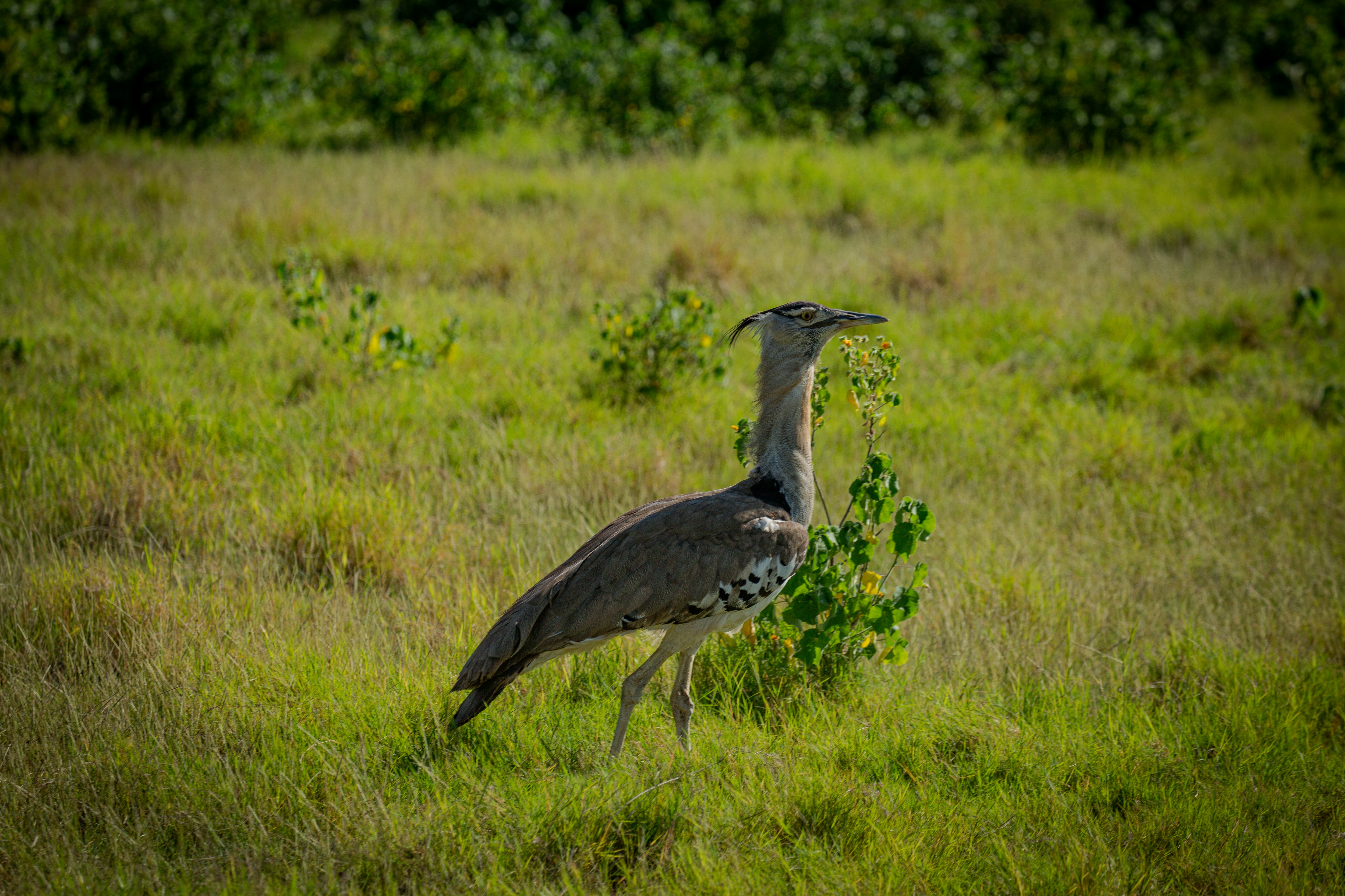 Photo by twilightkenya