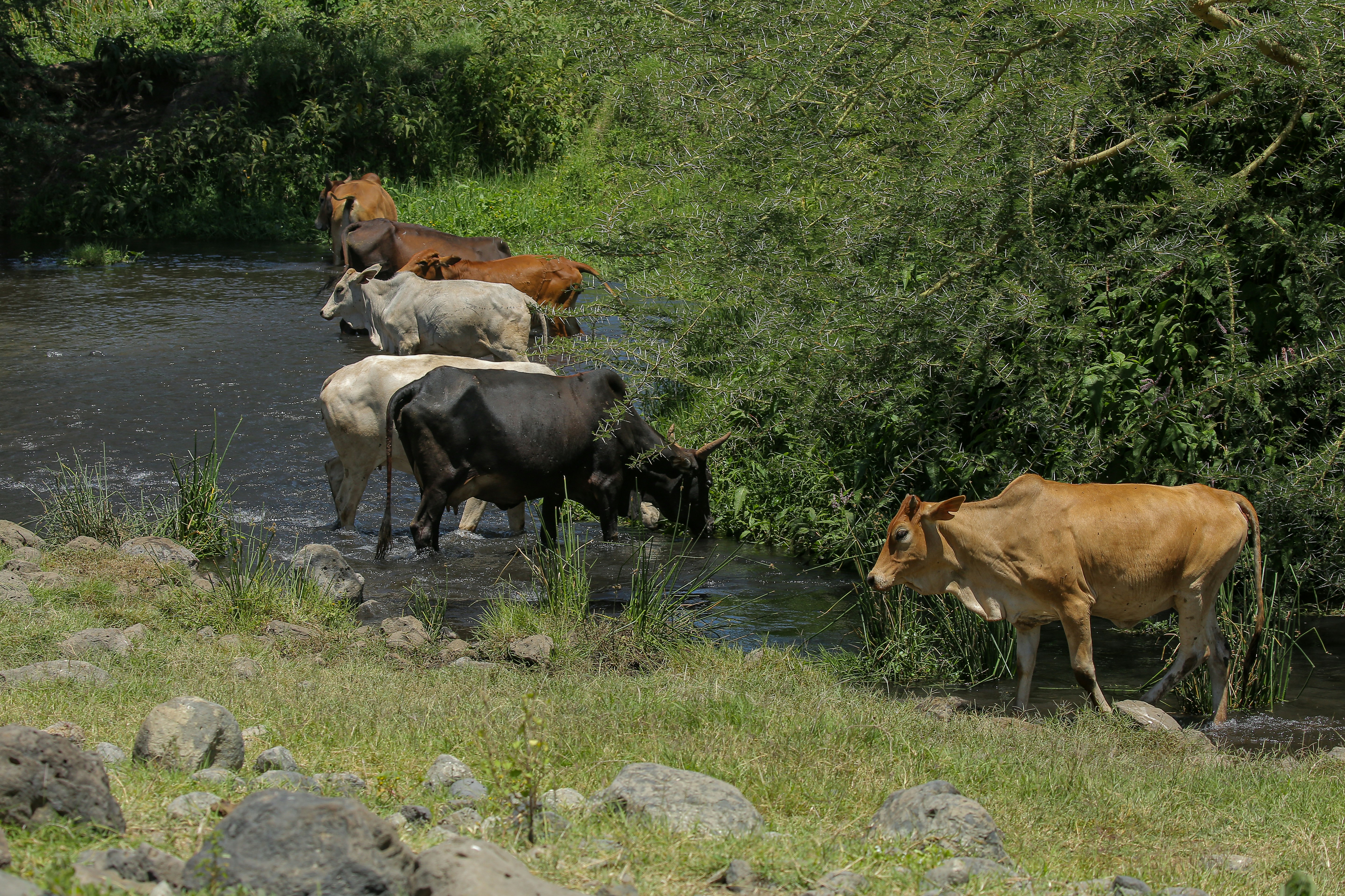 Photo by twilightkenya