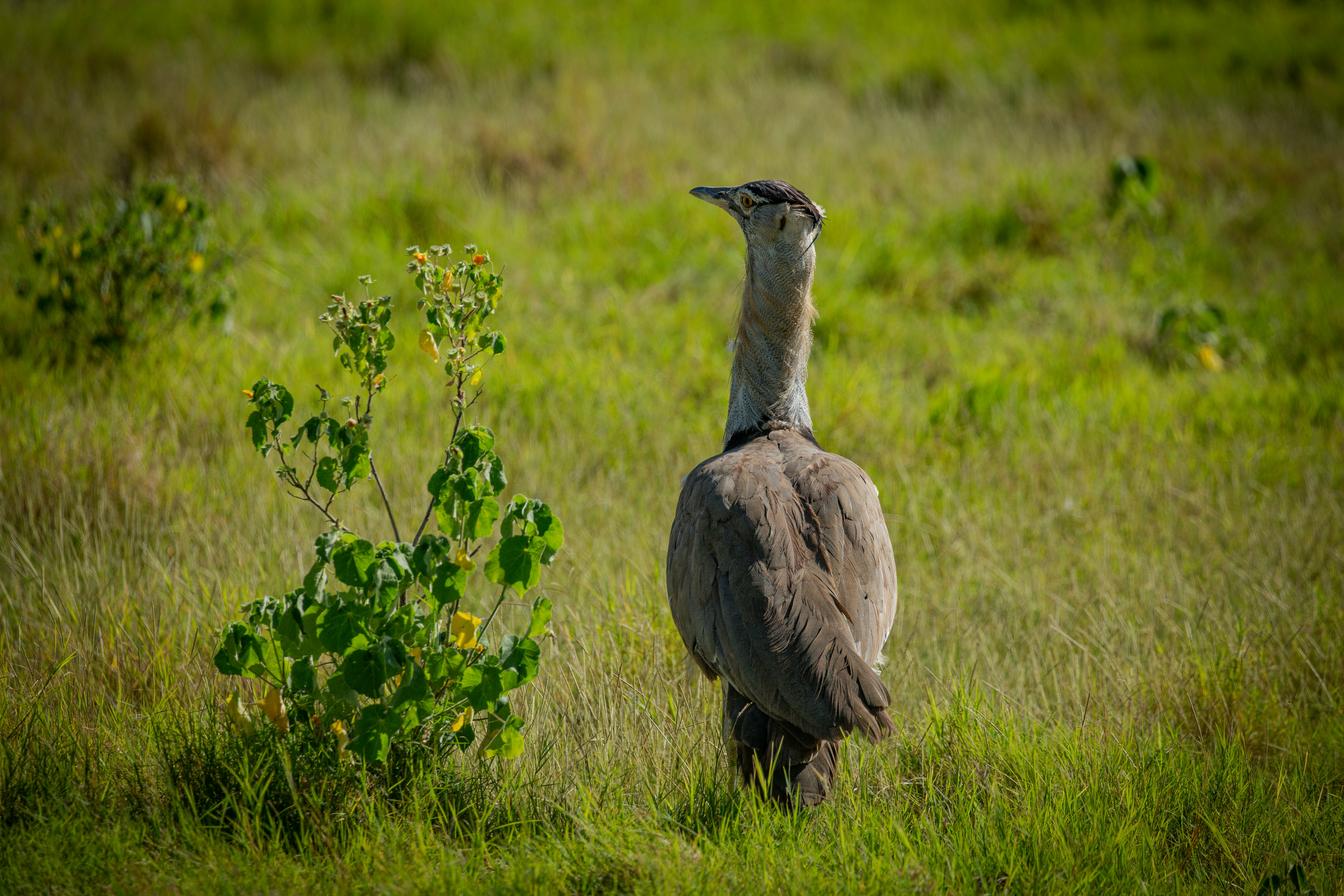 Photo by twilightkenya