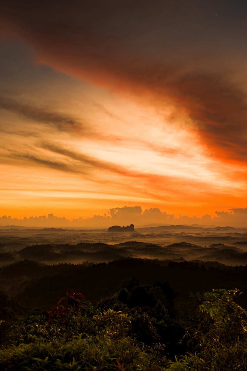 Un paisaje con árboles y niebla