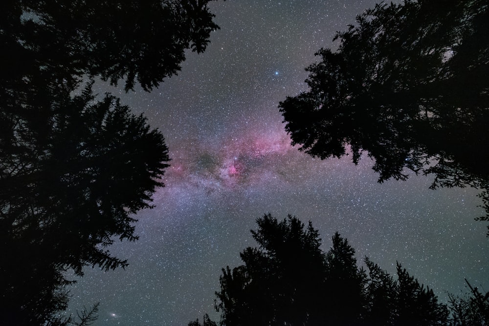 a view of the night sky with trees and a lightning bolt