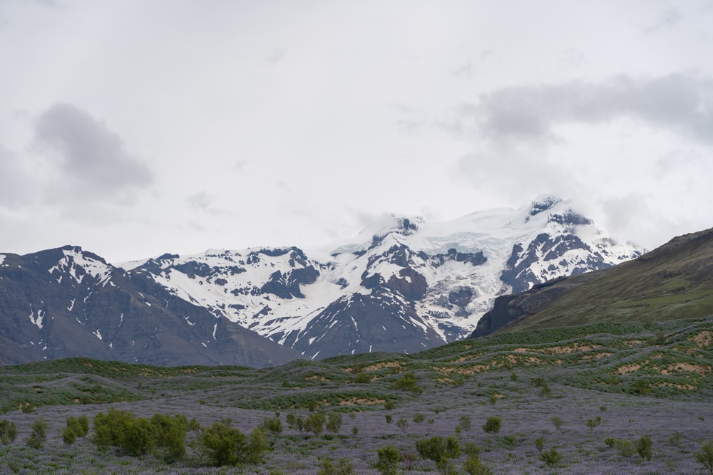 a snowy mountain range