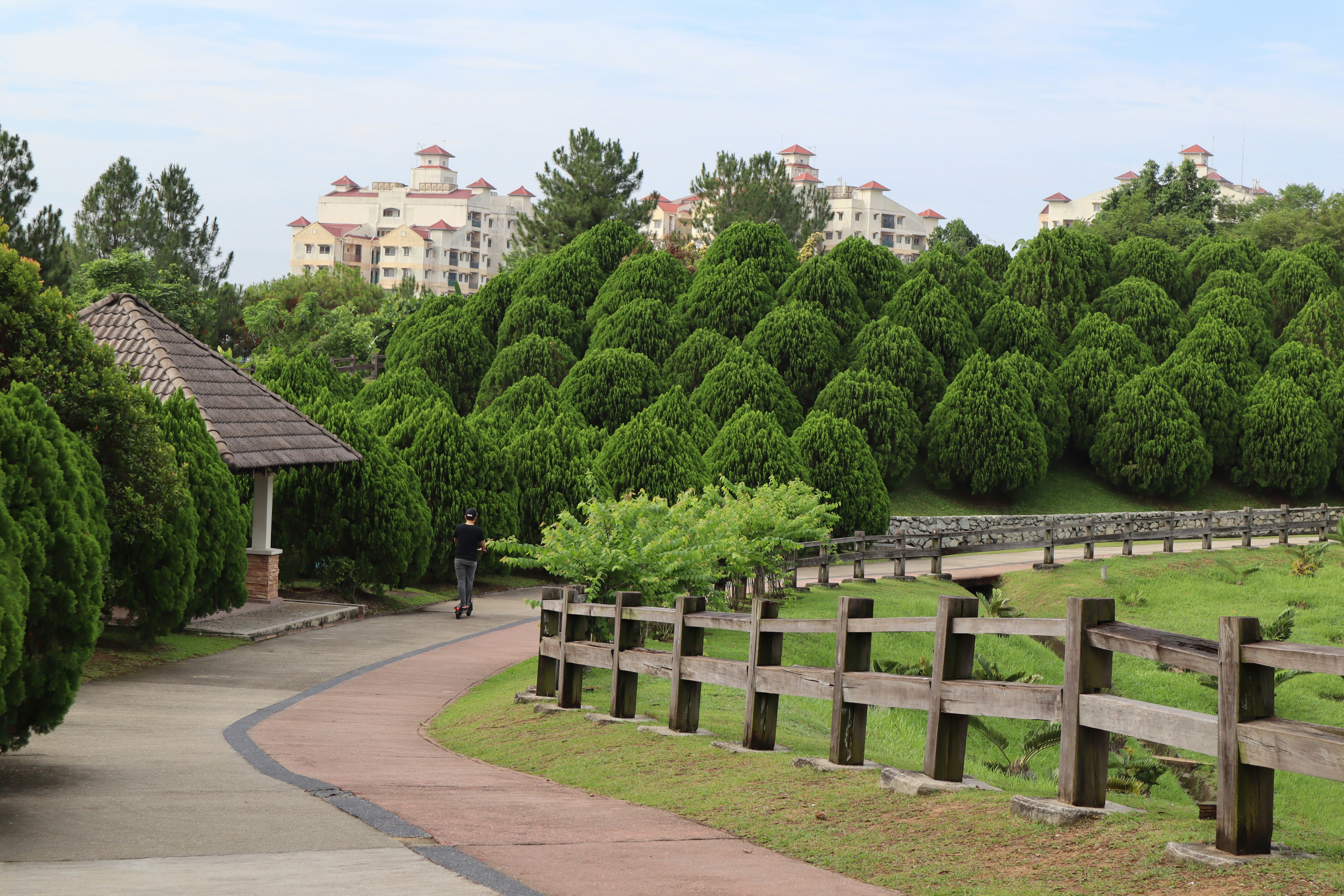 a person walking on a path with trees and buildings in the background