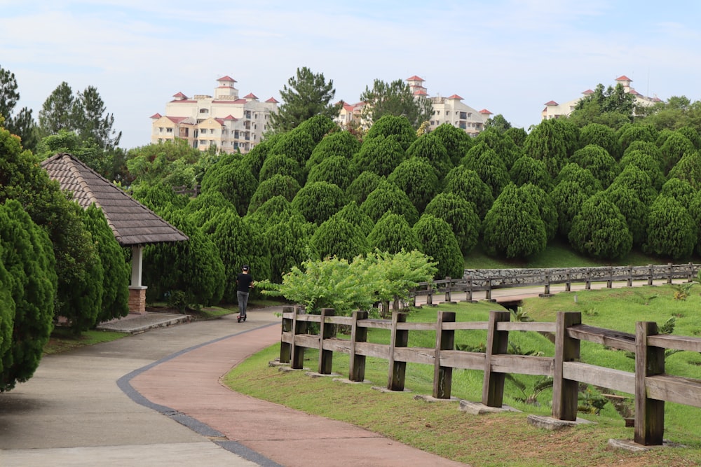 a person walking on a path with trees and buildings in the background