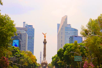 a statue in a city