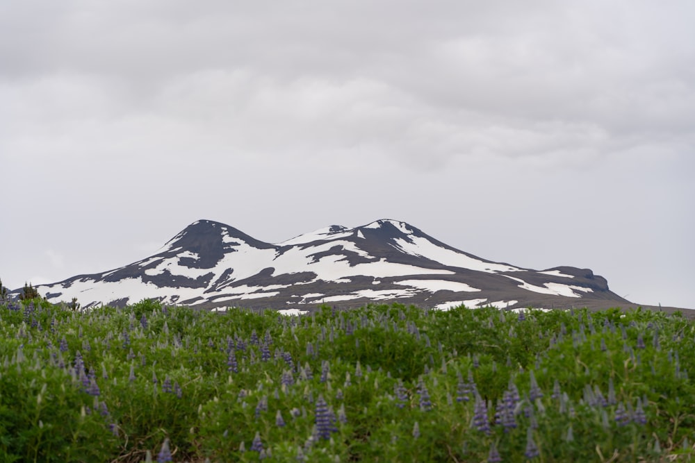 a mountain with snow