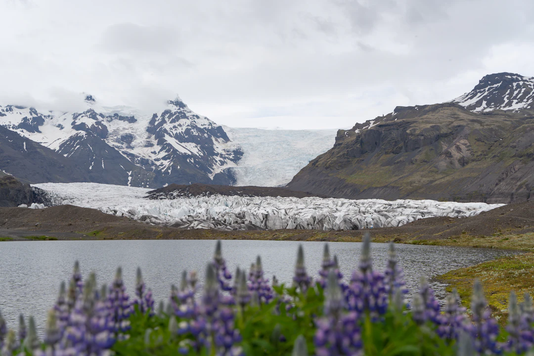 5-Day Luxury Travel Itinerary for Egilsstadir, Iceland