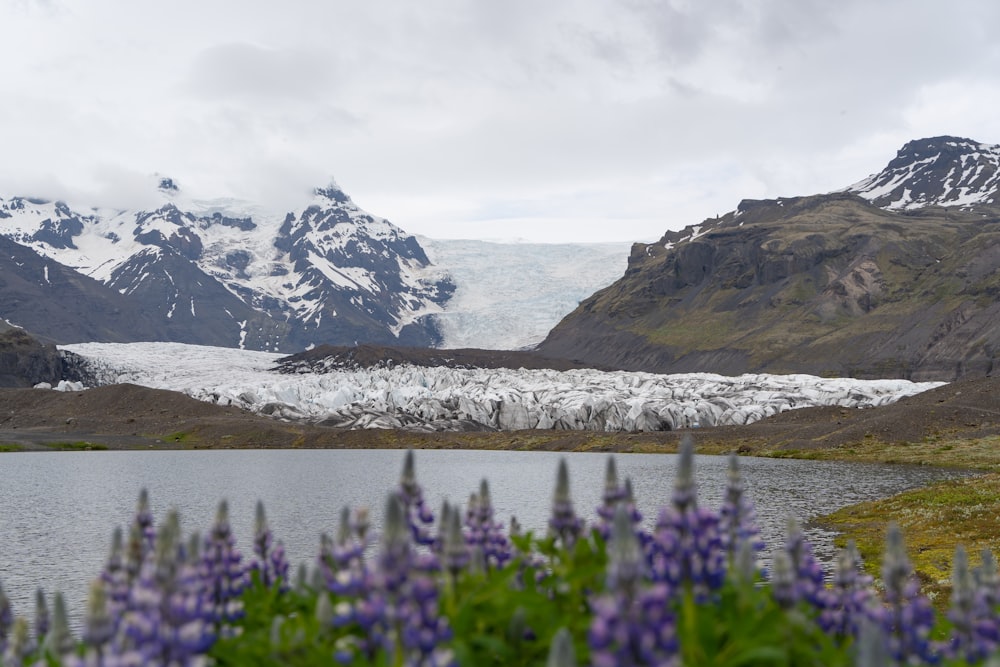 a lake with mountains in the background