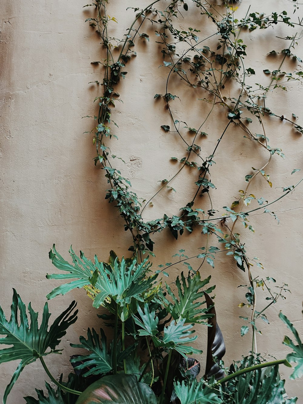 a group of bees on a wall