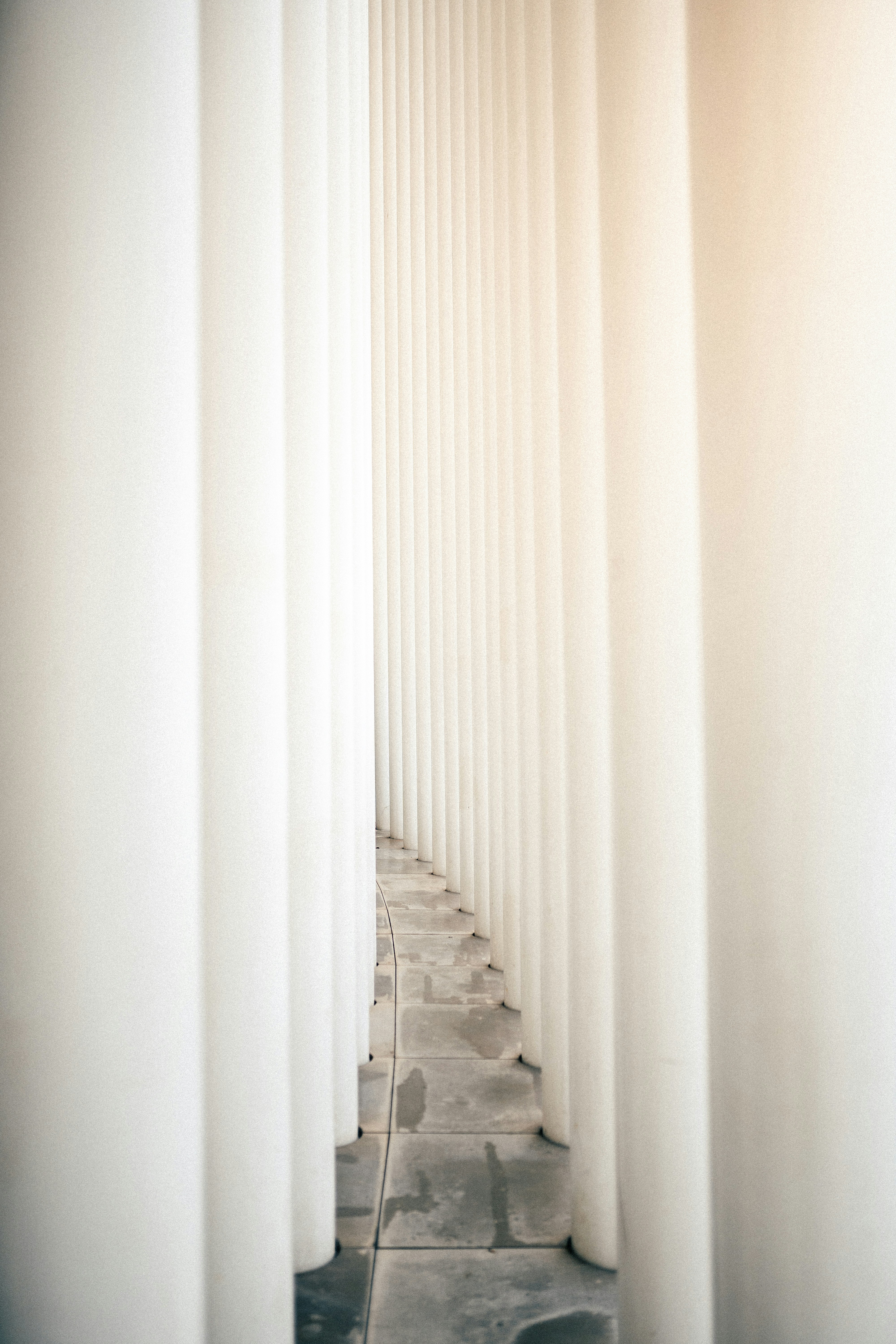 Photo by mauricesahl