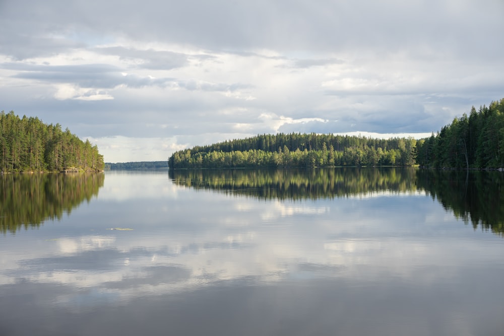 a body of water with trees on the side