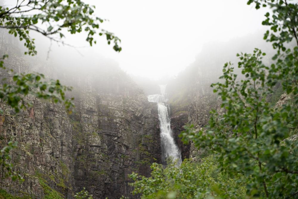 a waterfall in a forest