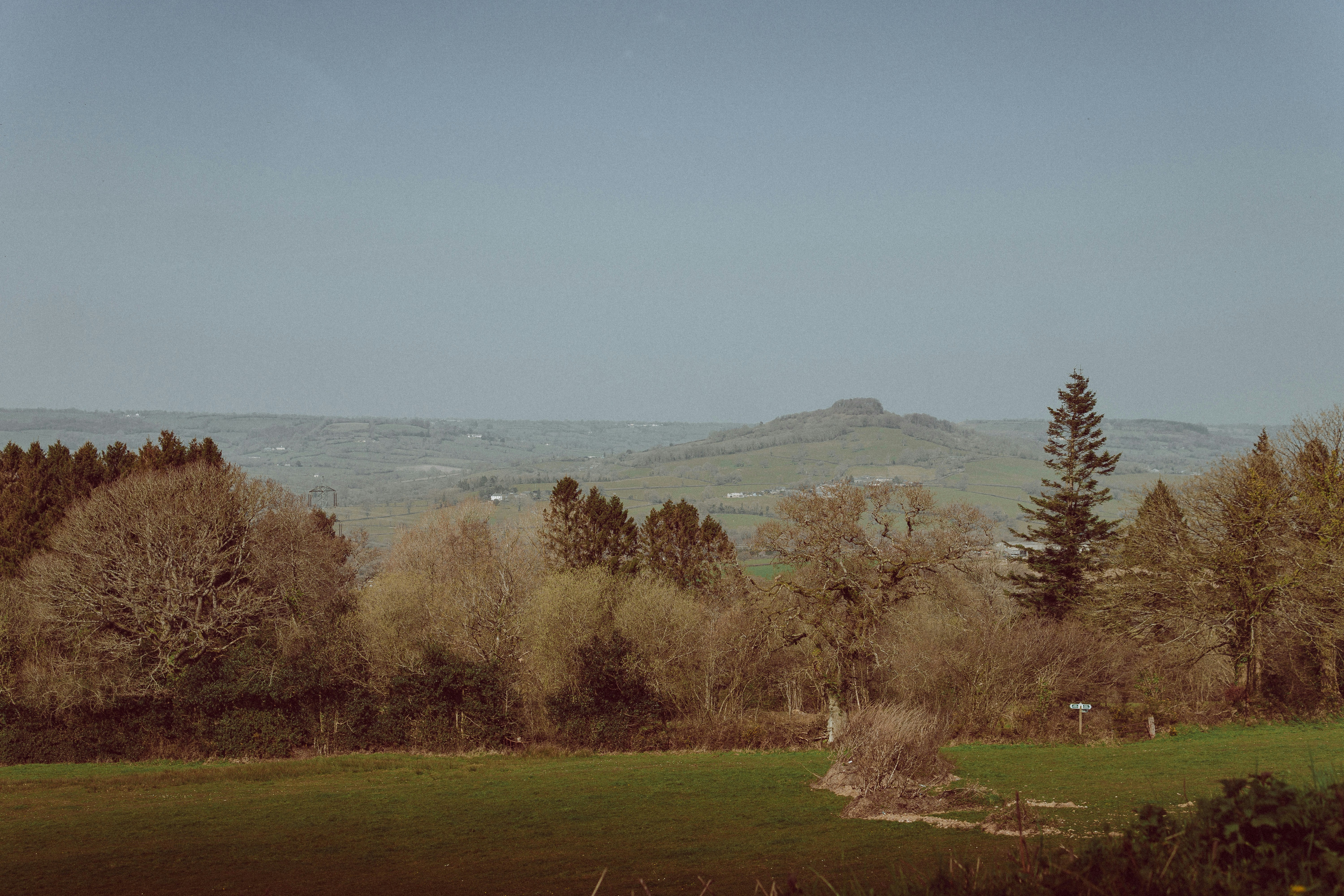 a grassy area with trees and a body of water in the background