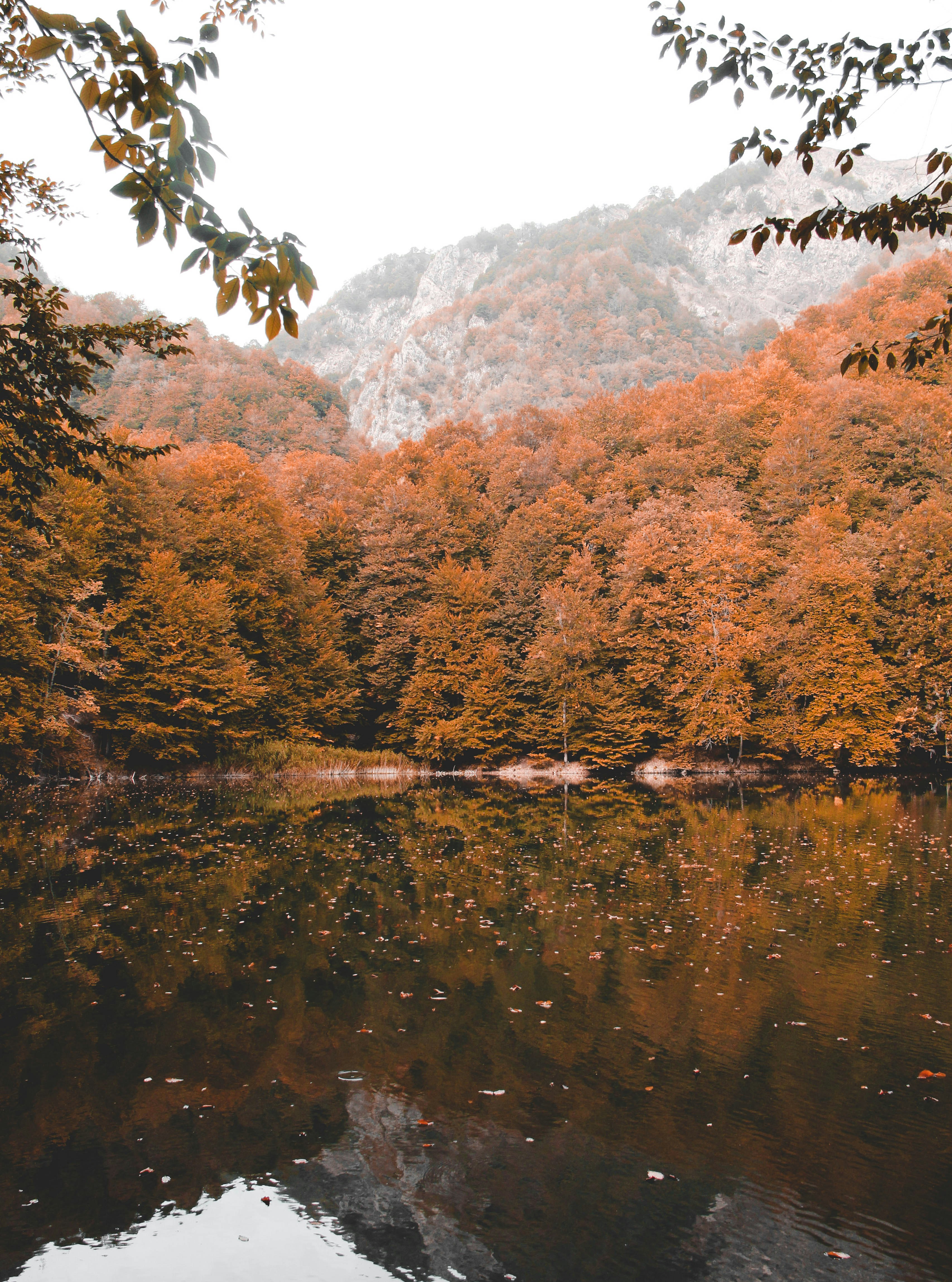 Photo by picsar_rovshan