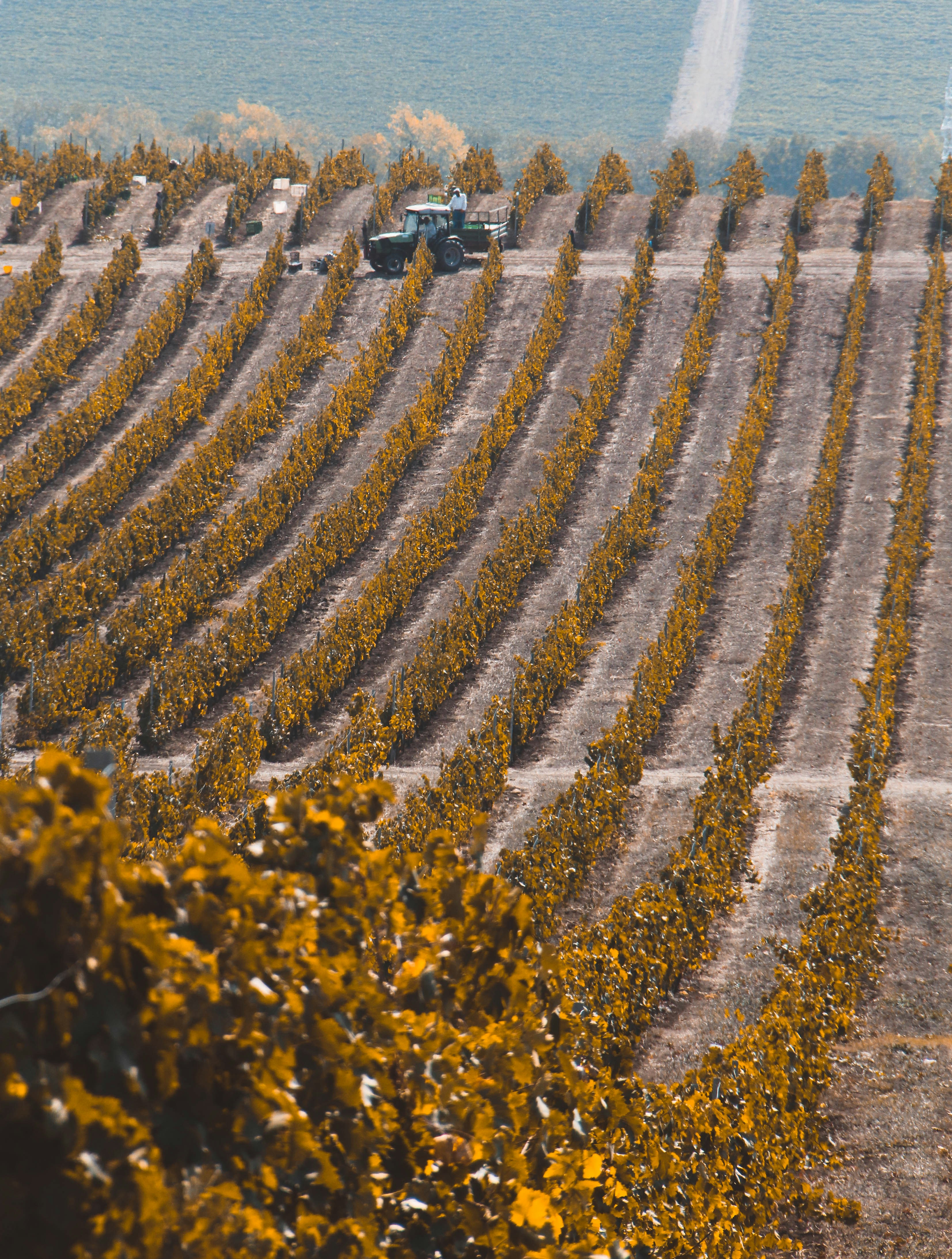 Photo by picsar_rovshan