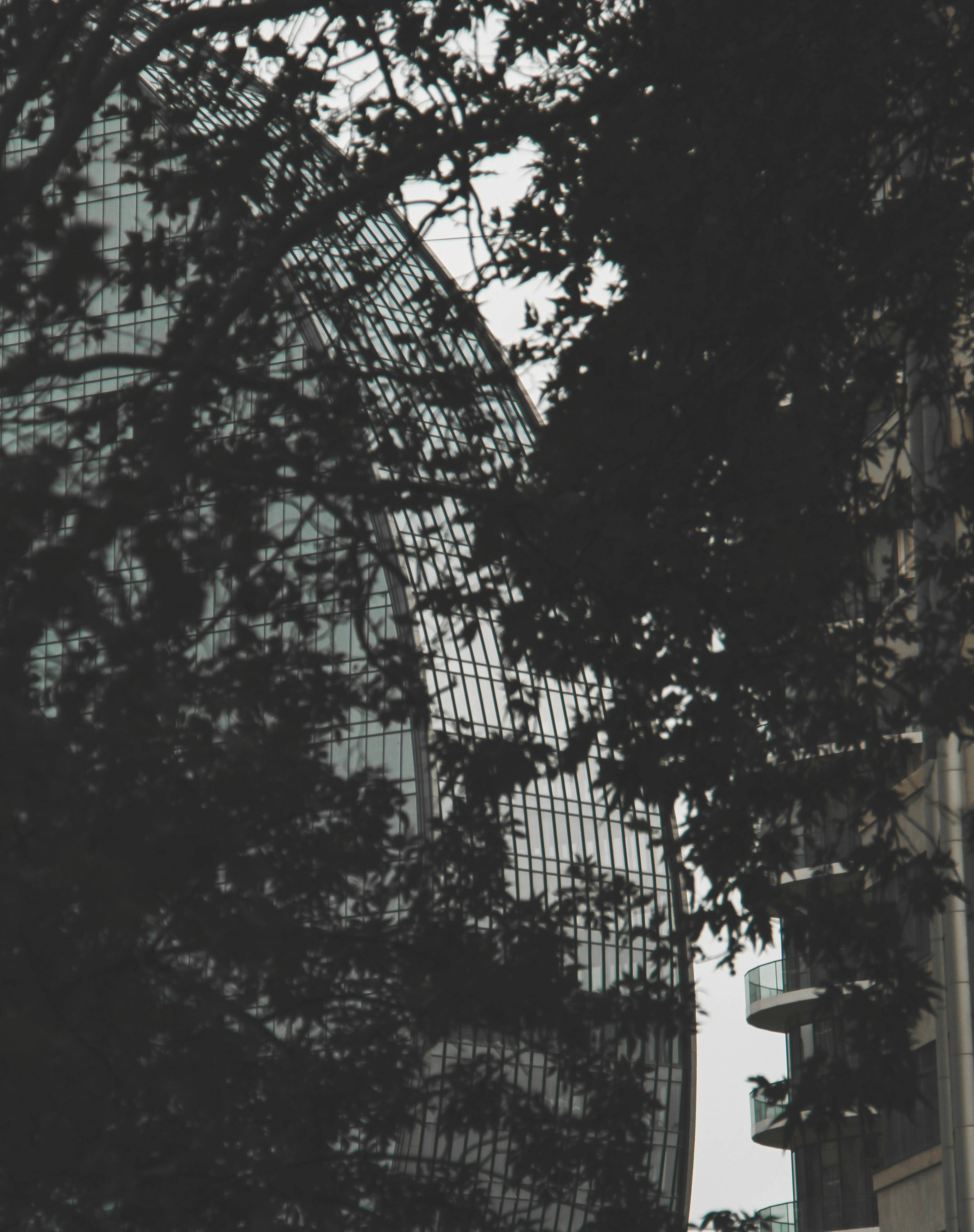 a tall building with trees in front of it