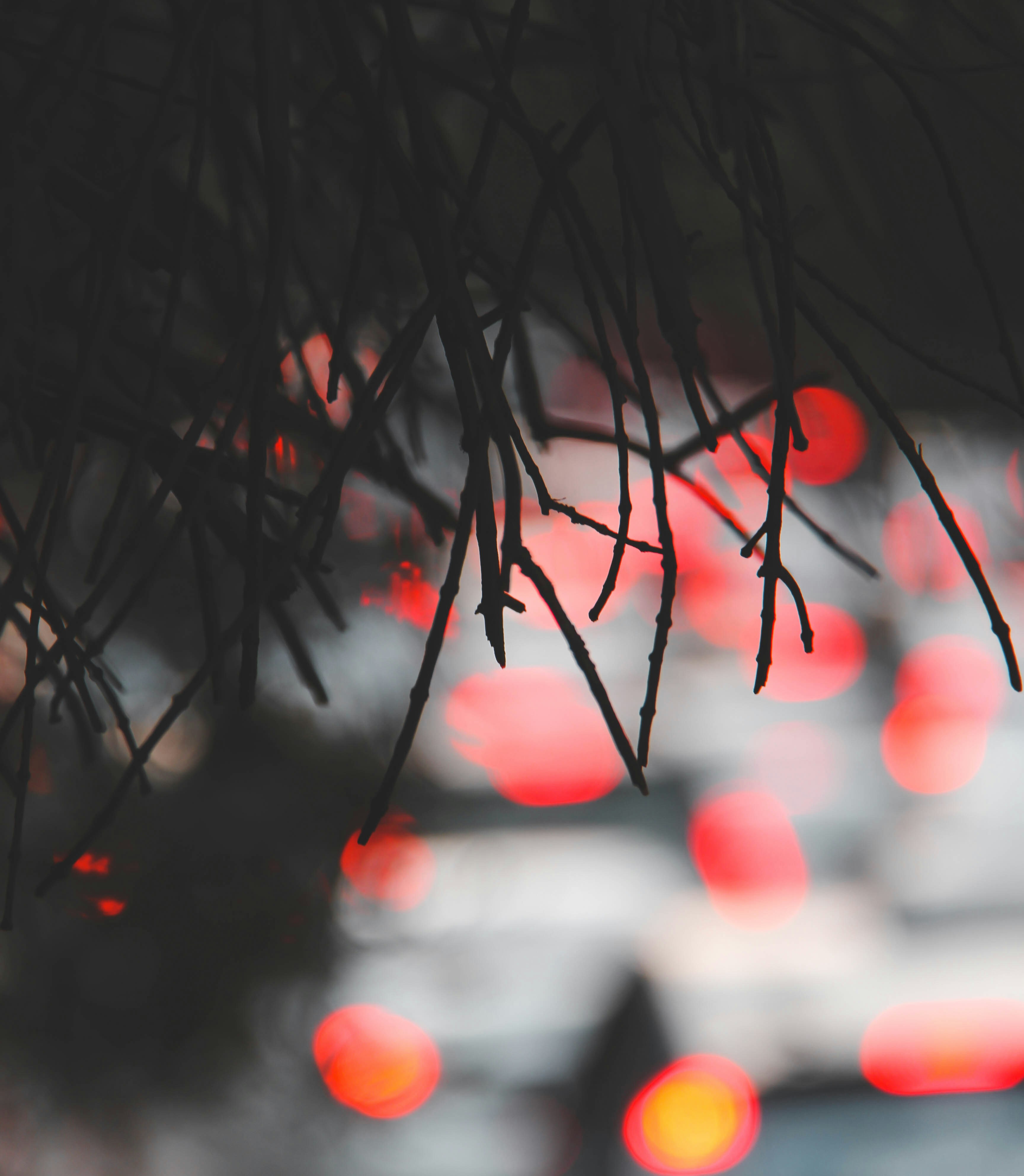 Photo by picsar_rovshan