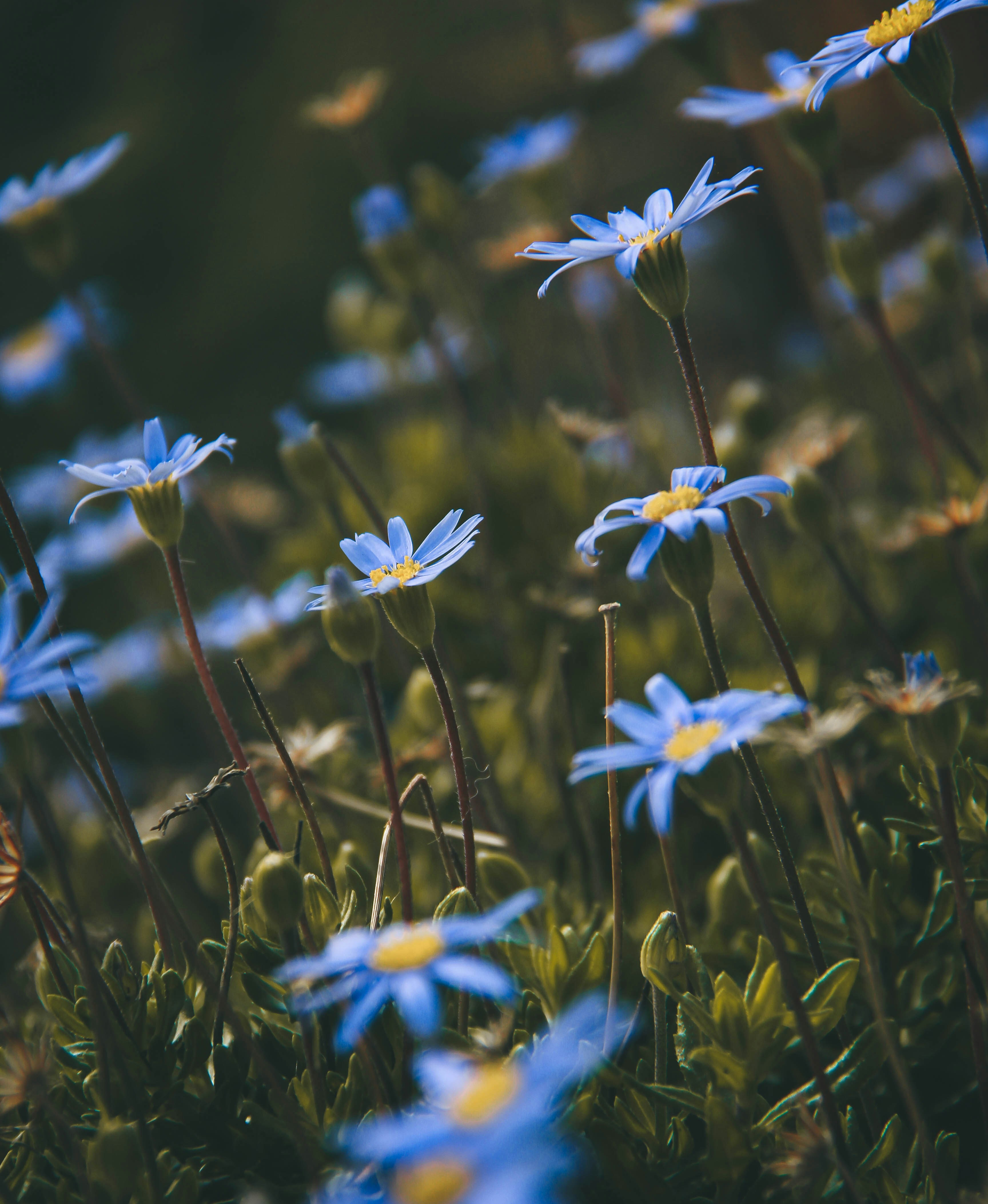 Photo by picsar_rovshan