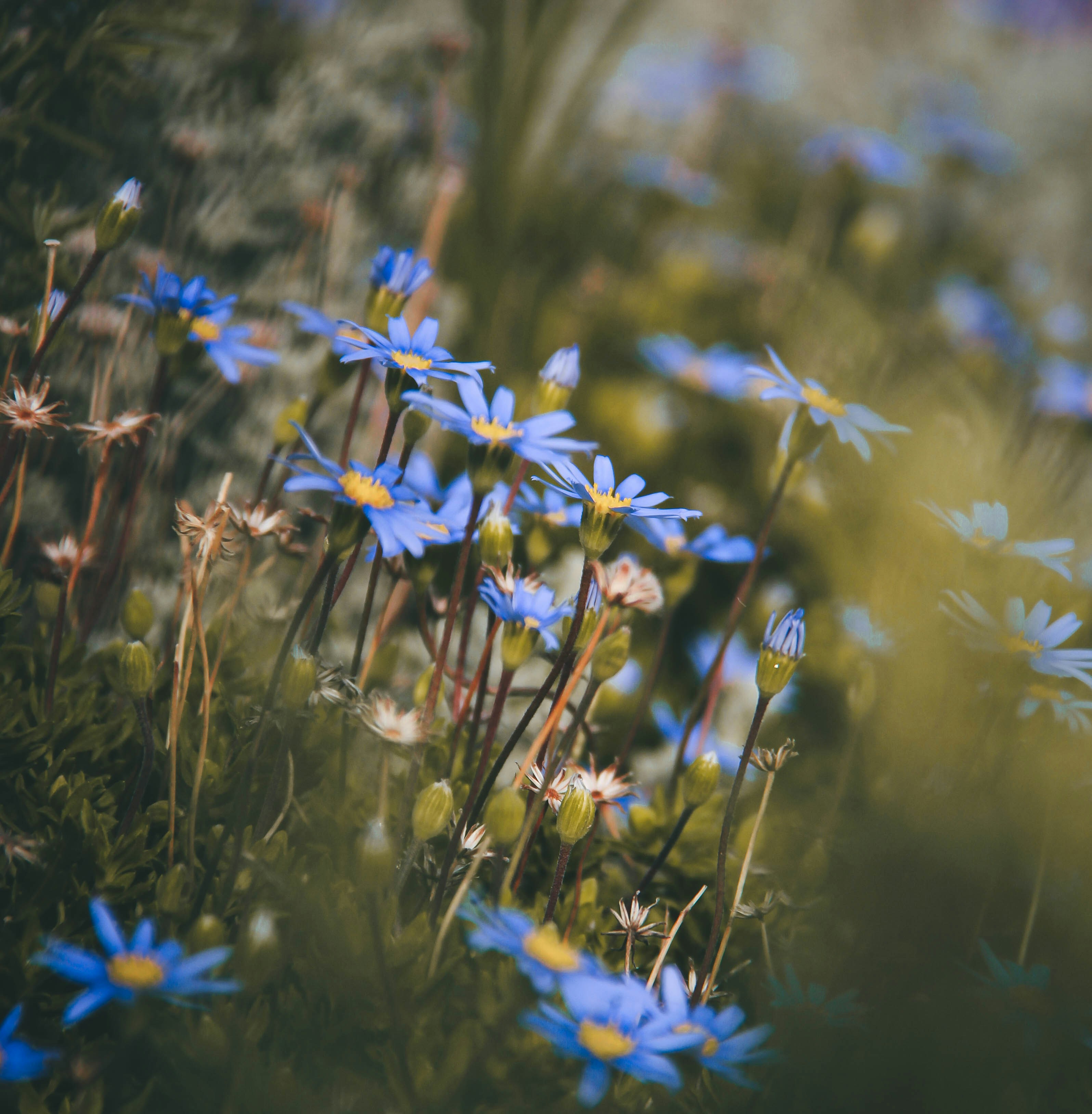 Photo by picsar_rovshan