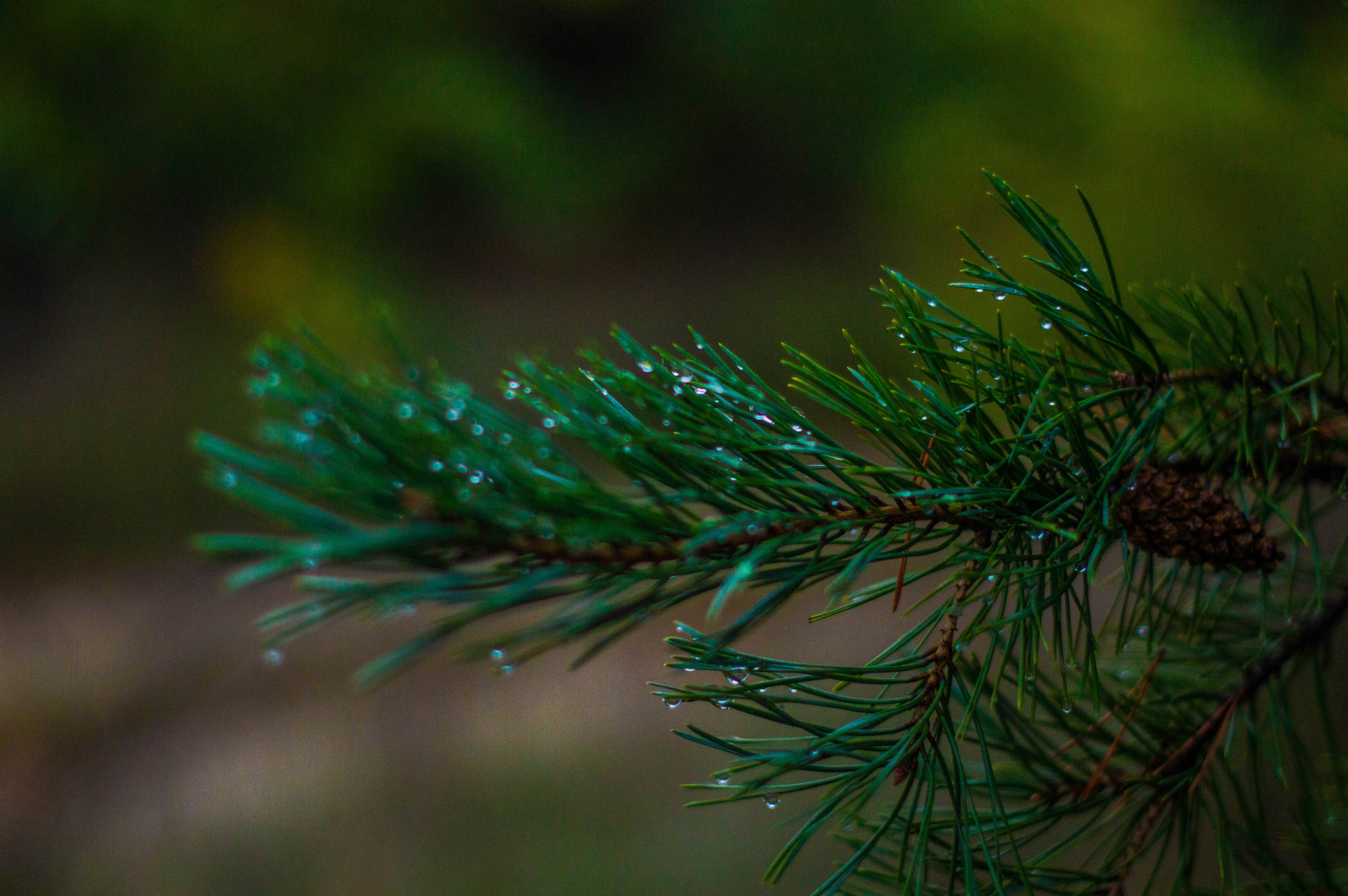 Photo by solovevamarina1506