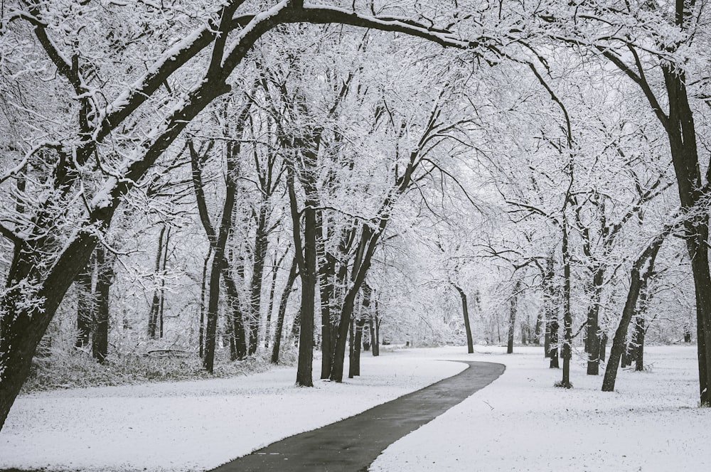 una strada con la neve sul lato