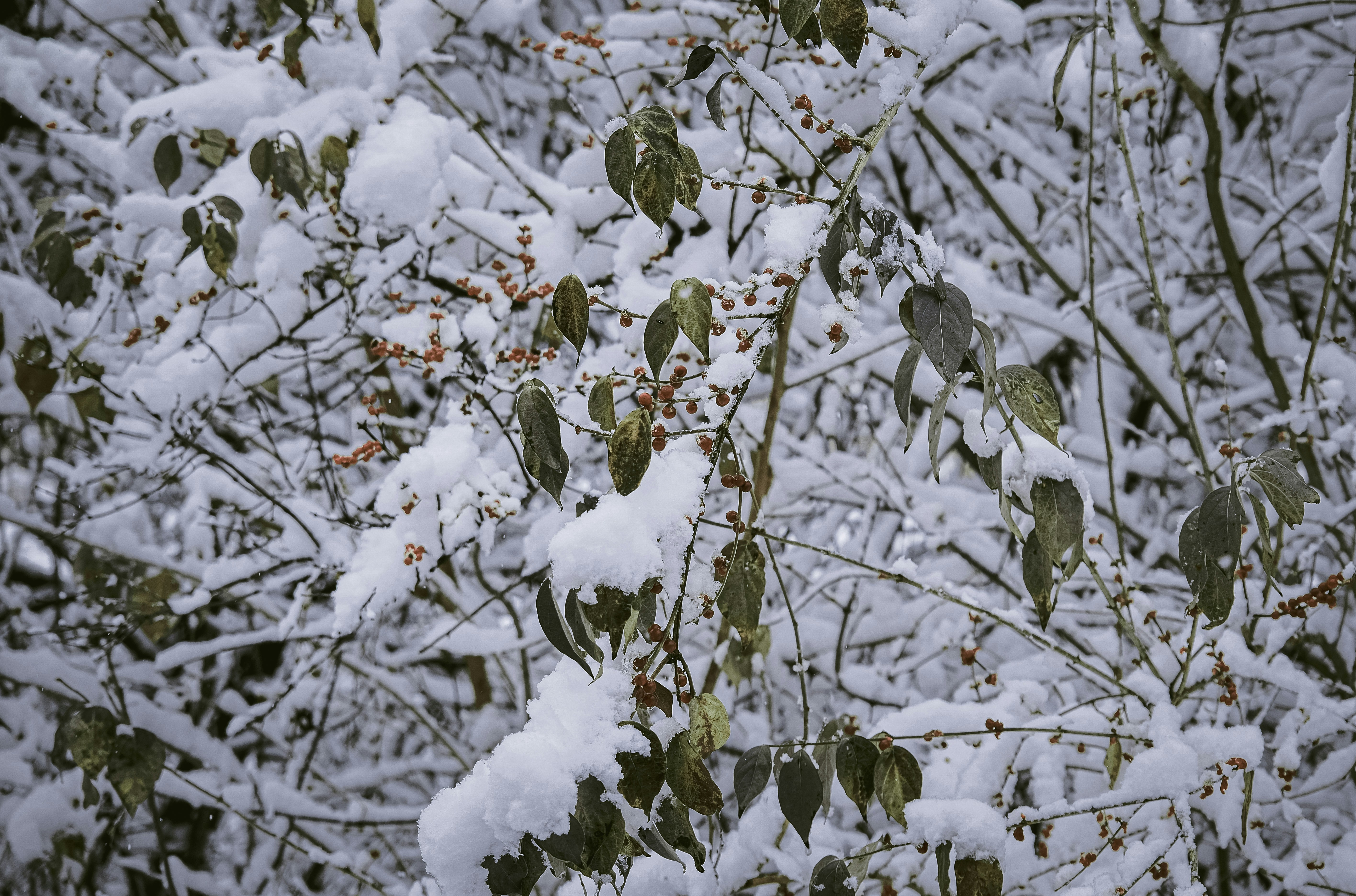 Photo by anhoanggogo