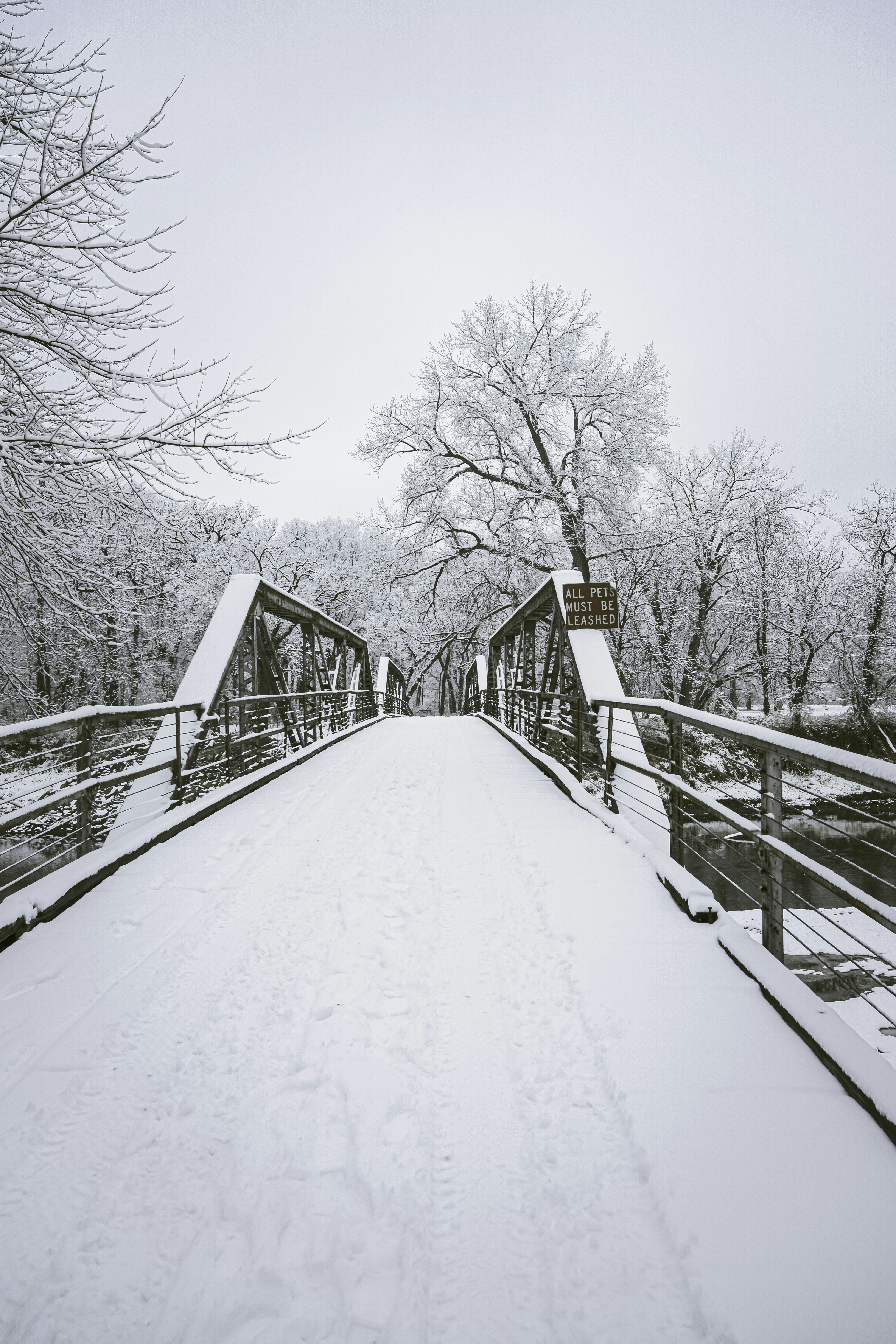 Photo by anhoanggogo