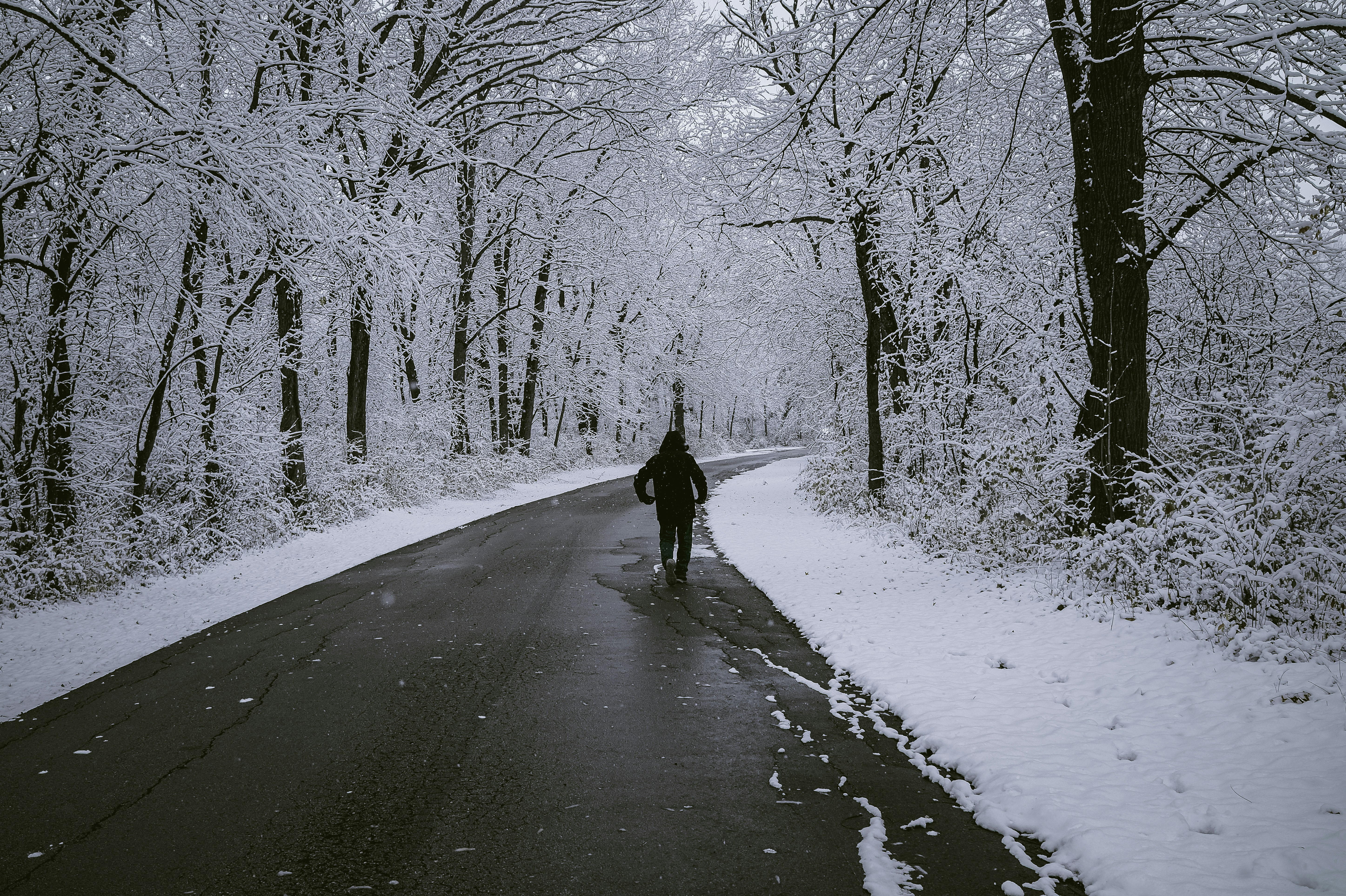 Photo by anhoanggogo