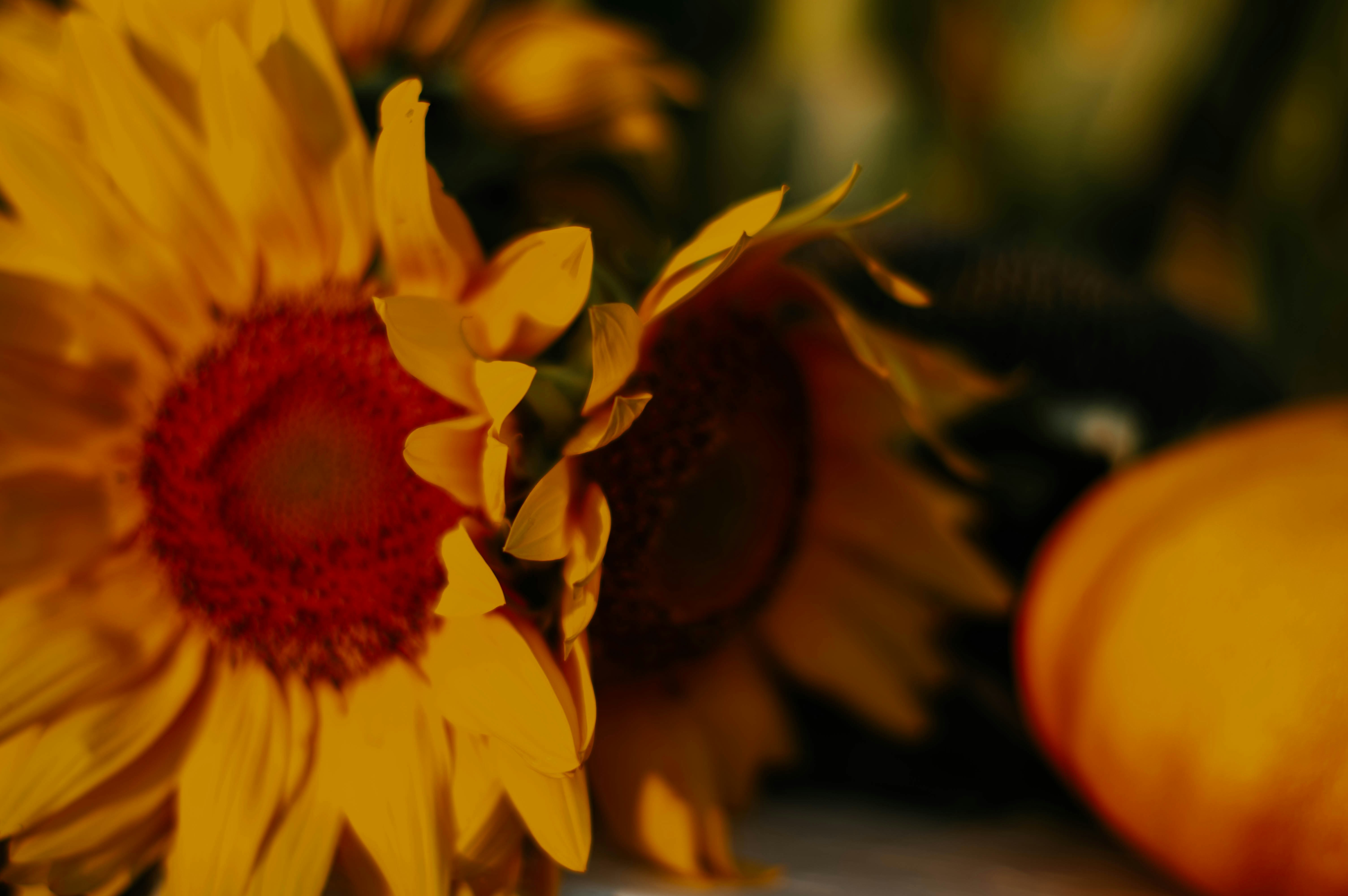 Photo by solovevamarina1506