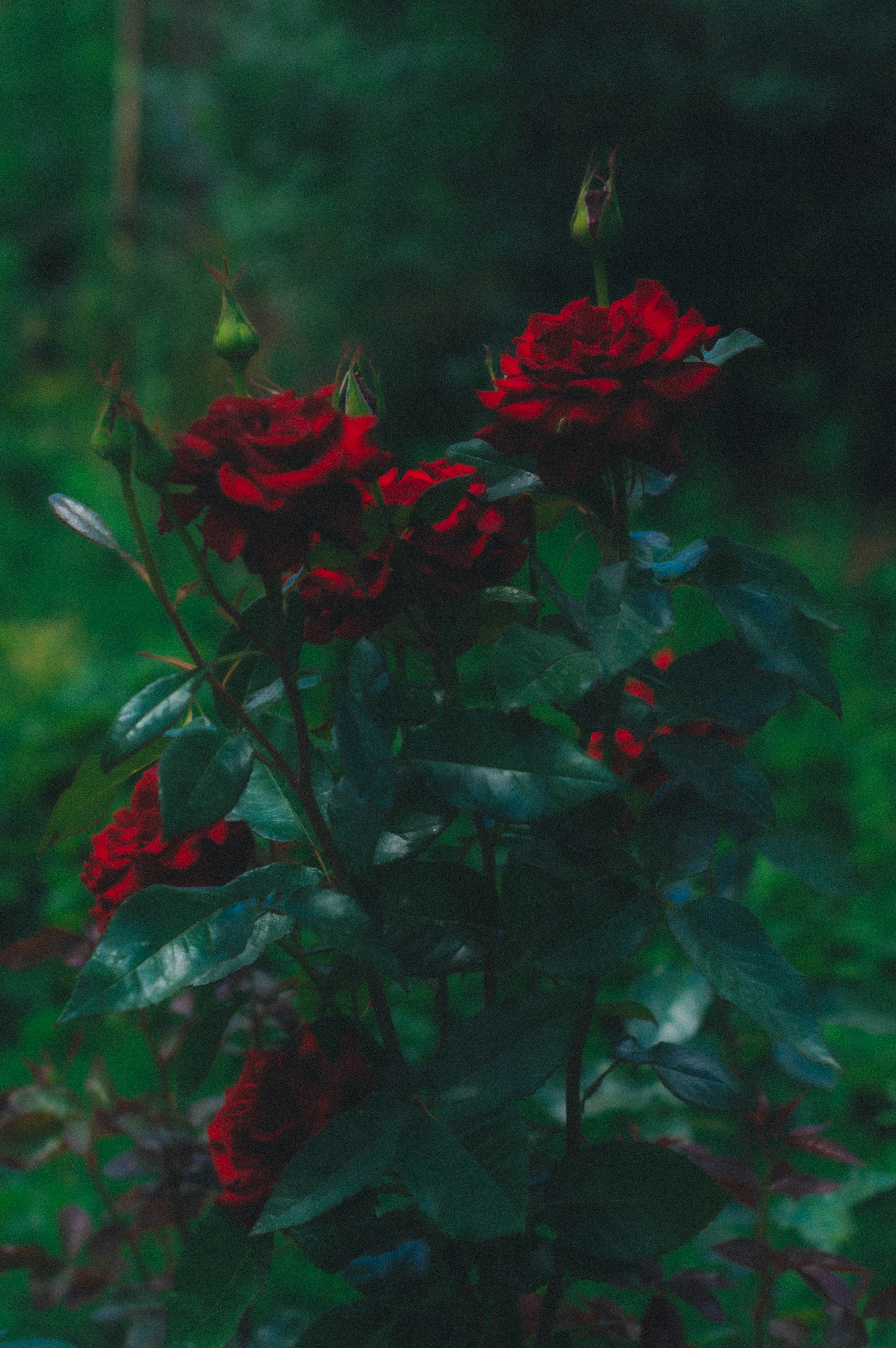 Photo by solovevamarina1506