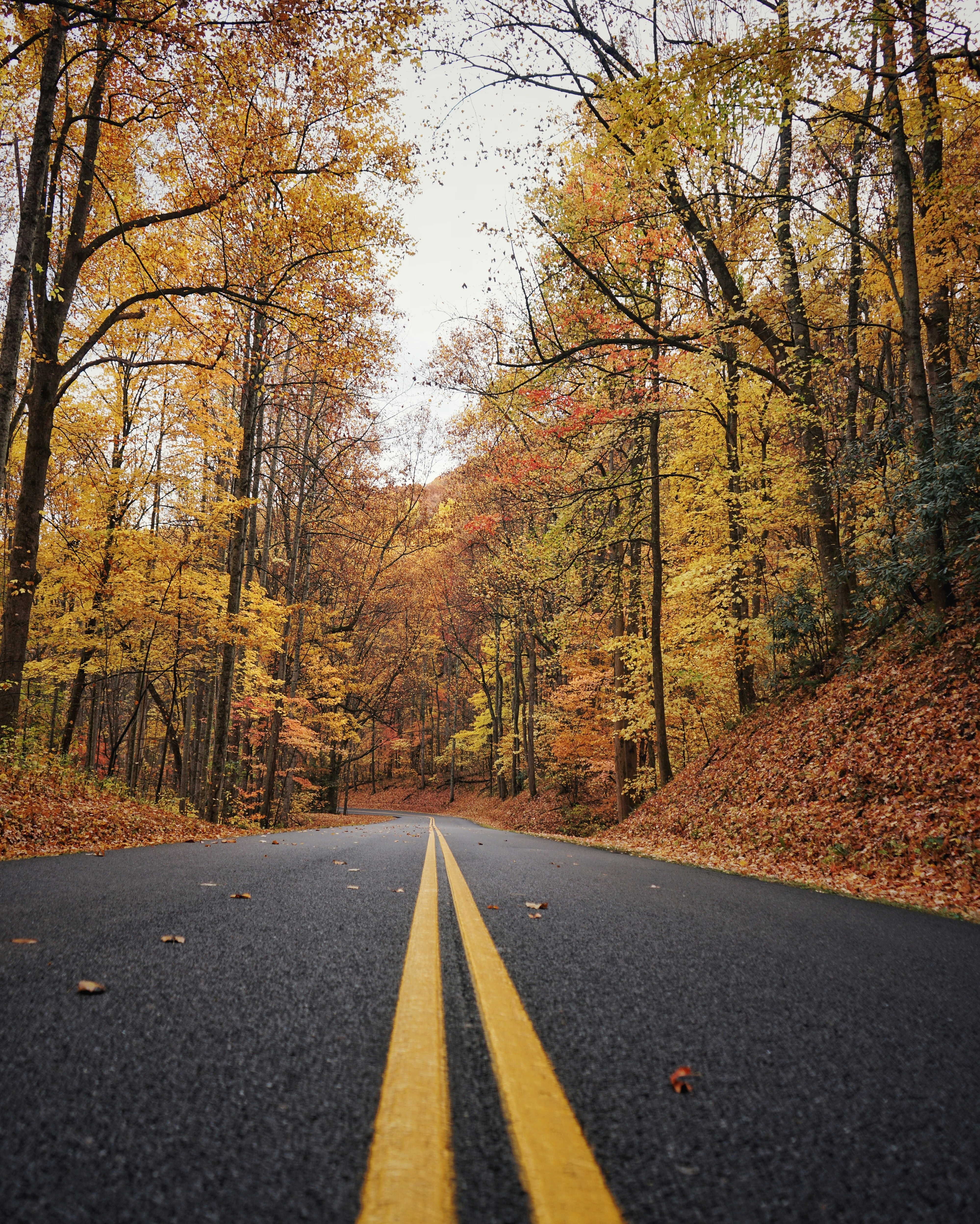 Photo by shadow_light_f8