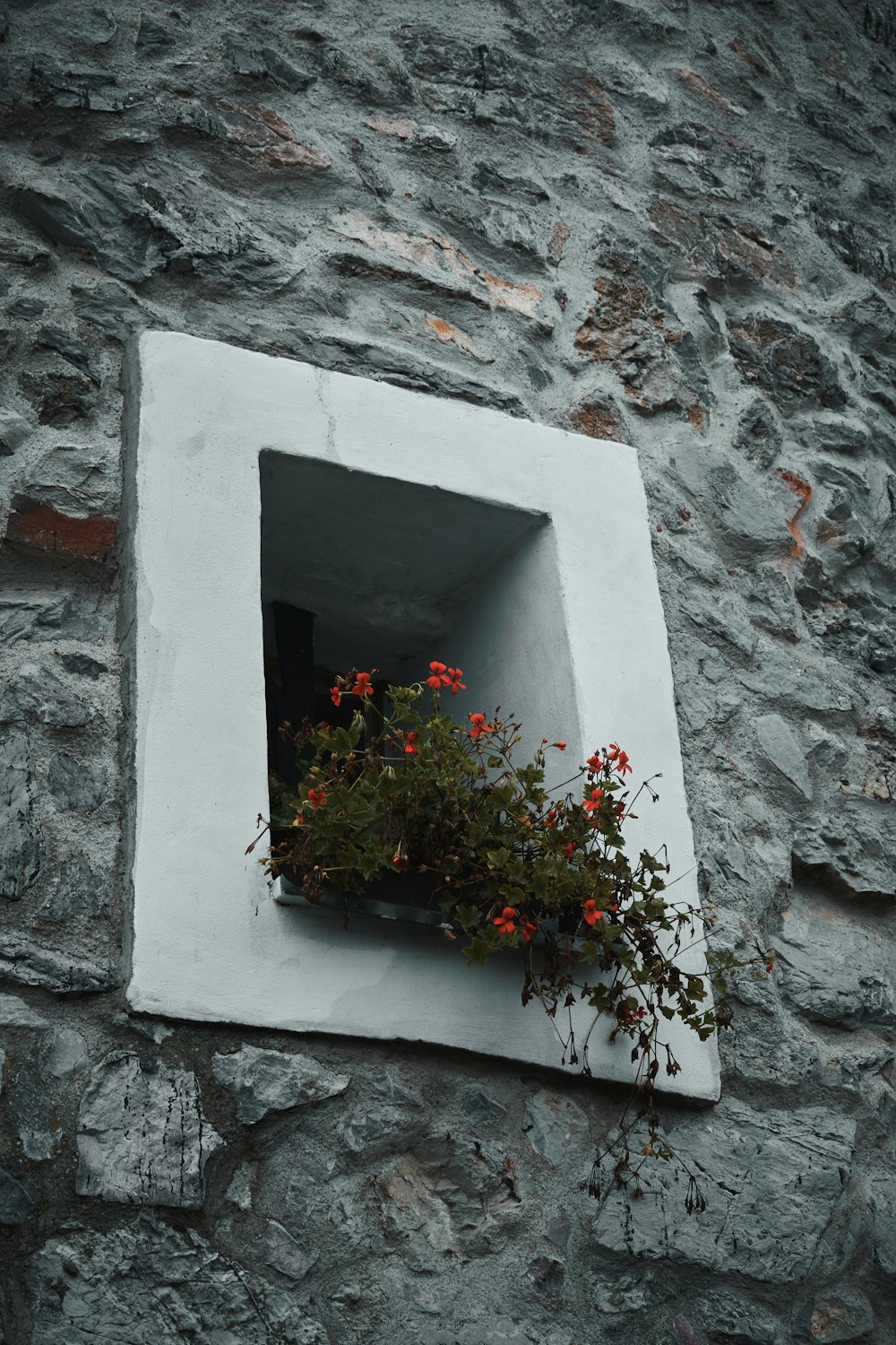 una ventana con flores en ella