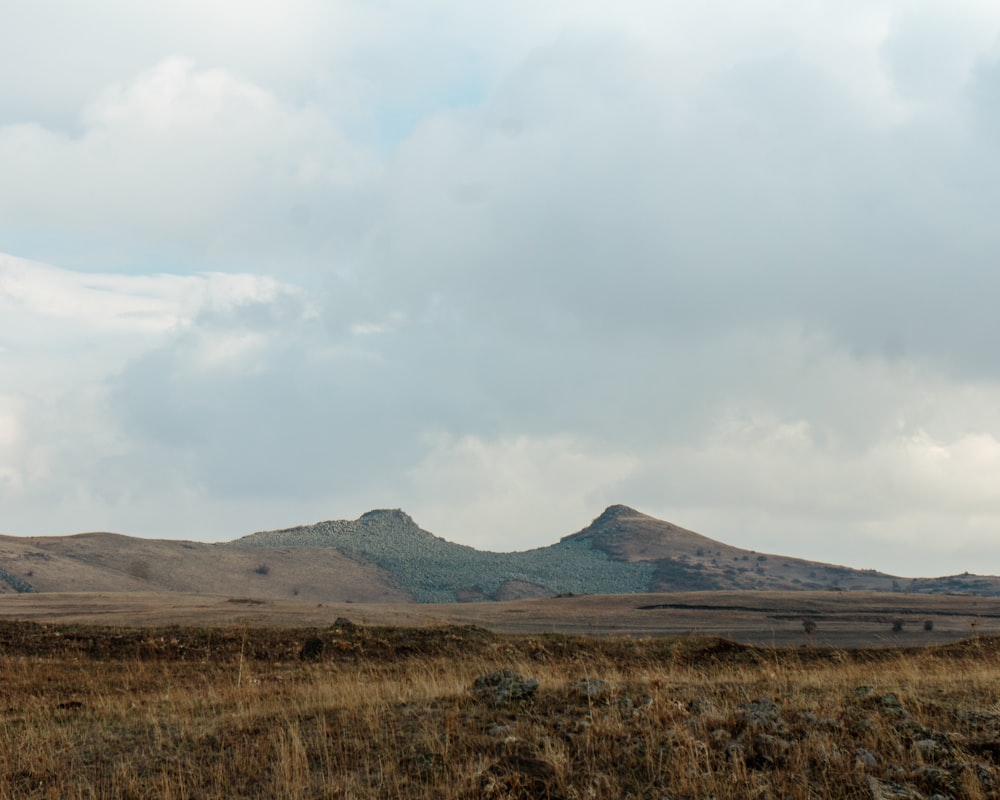 a grassy field with a mountain in the background