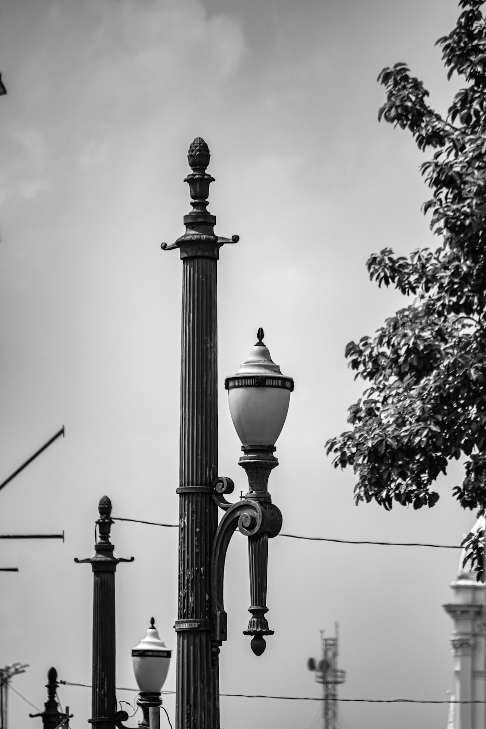 a lamp post with a tree in the background