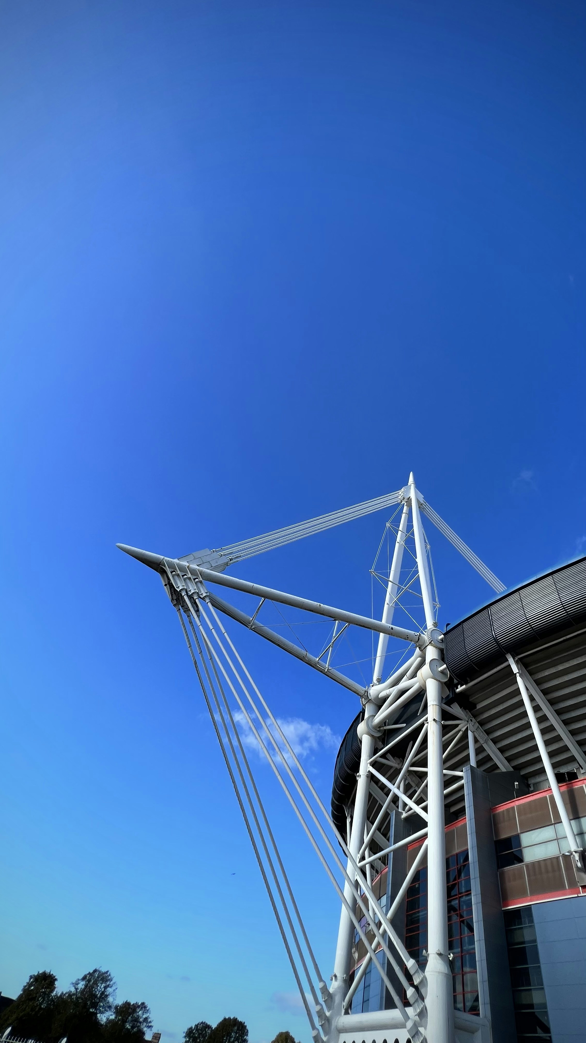 Photo by francoisolwage