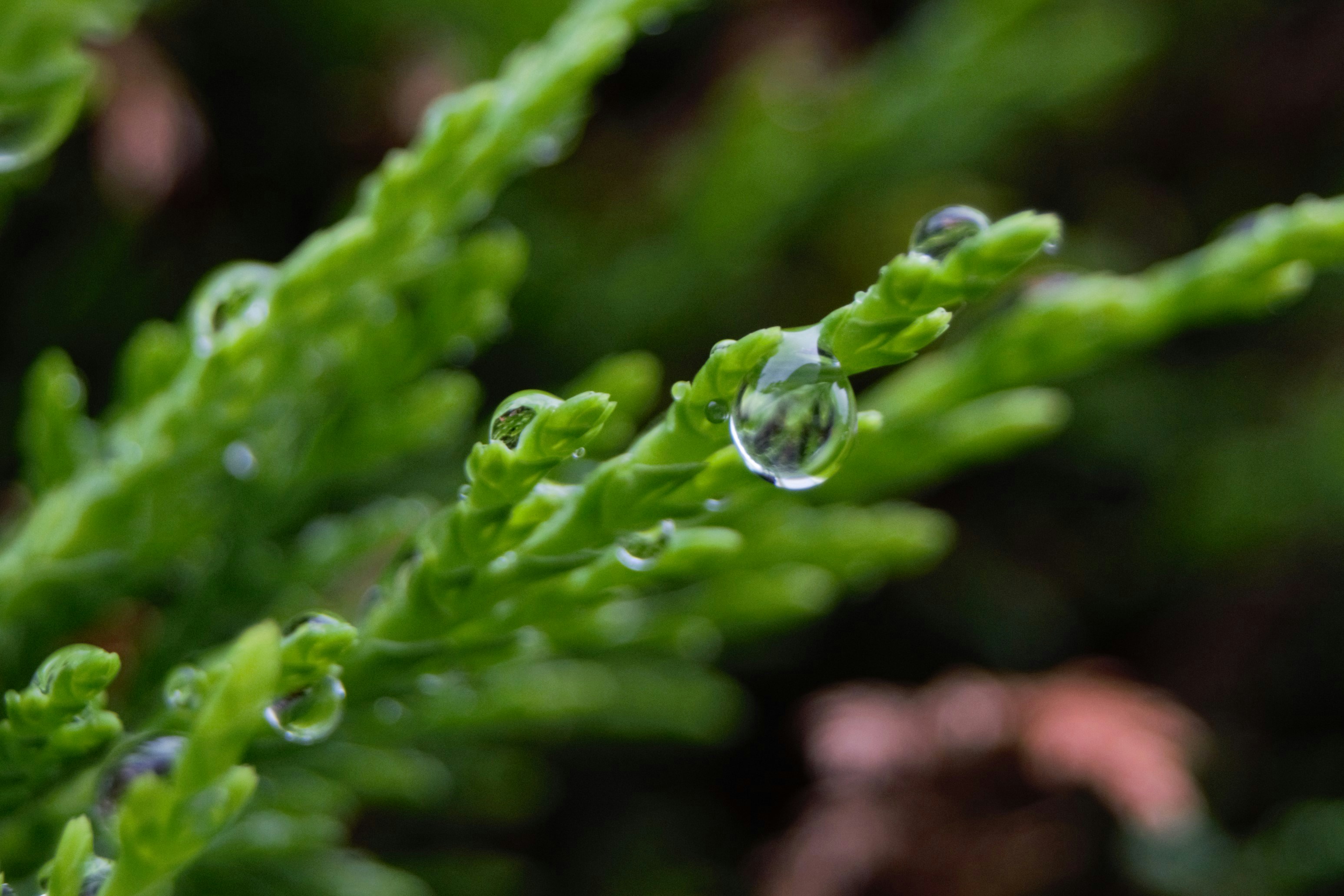 Photo by tobyjay2010