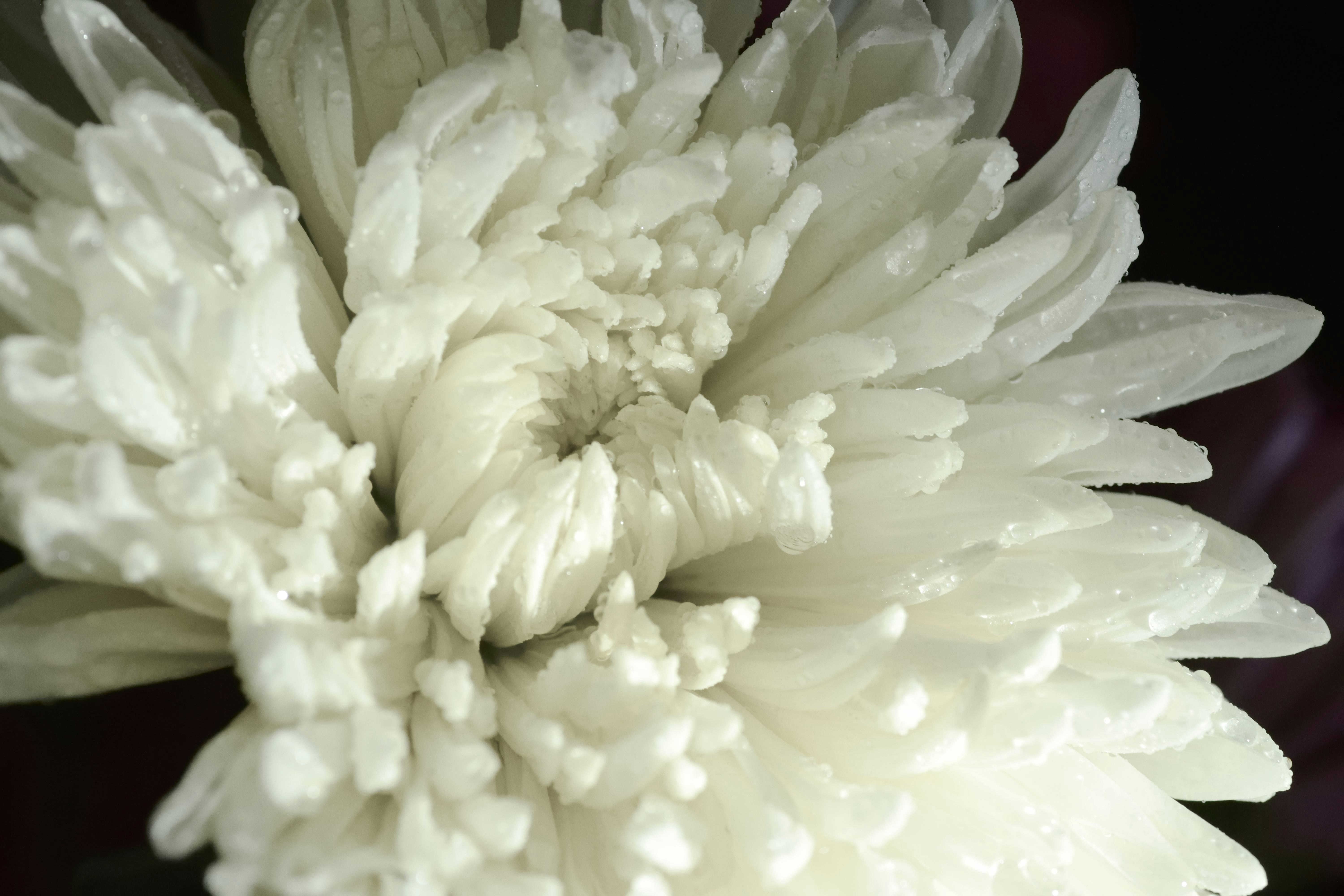 Photo by tobyjay2010