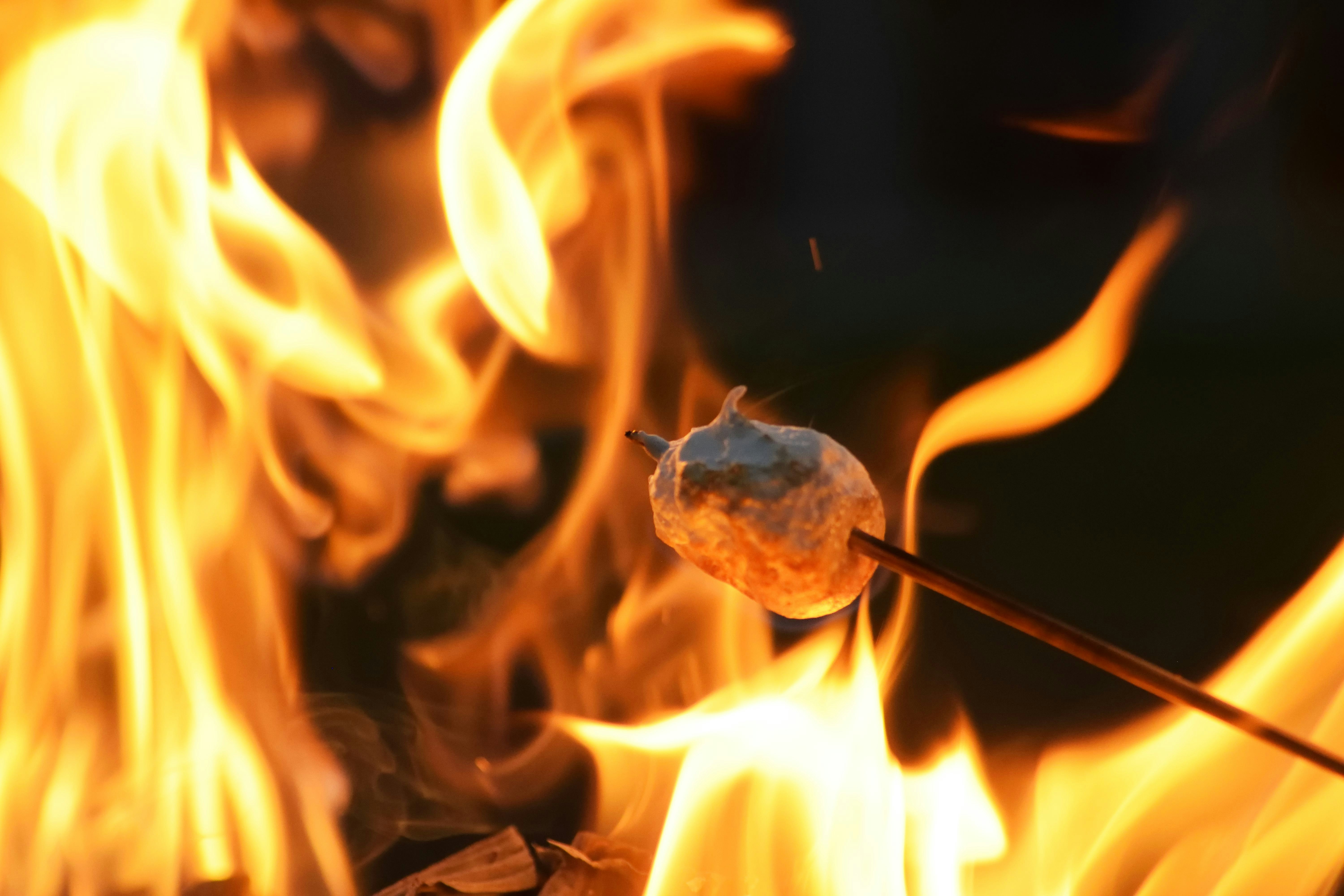 Photo by tobyjay2010